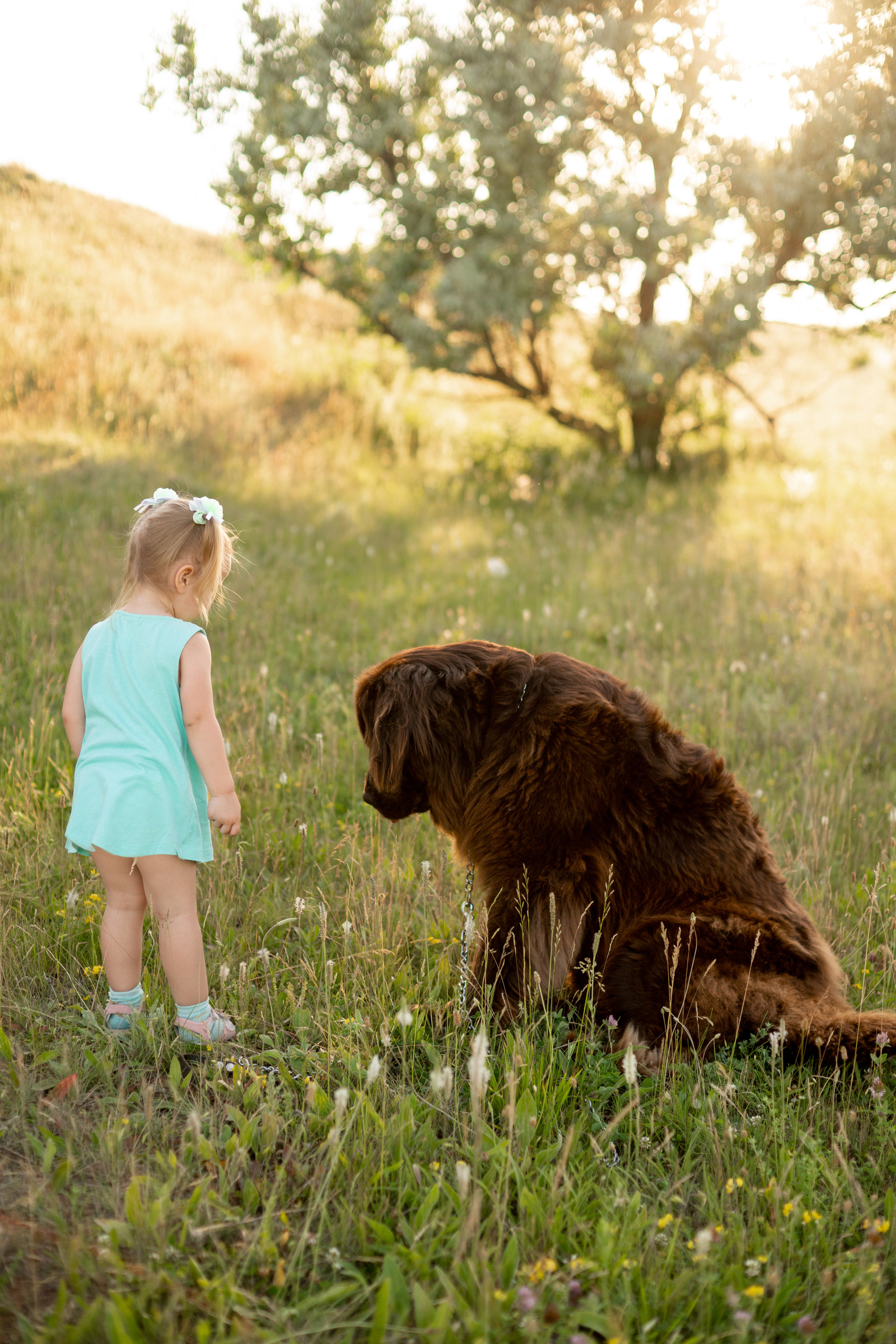 Аня, Вячеслав и дочки Соня и Лера. Ольга Плаксина фотограф в Саратове