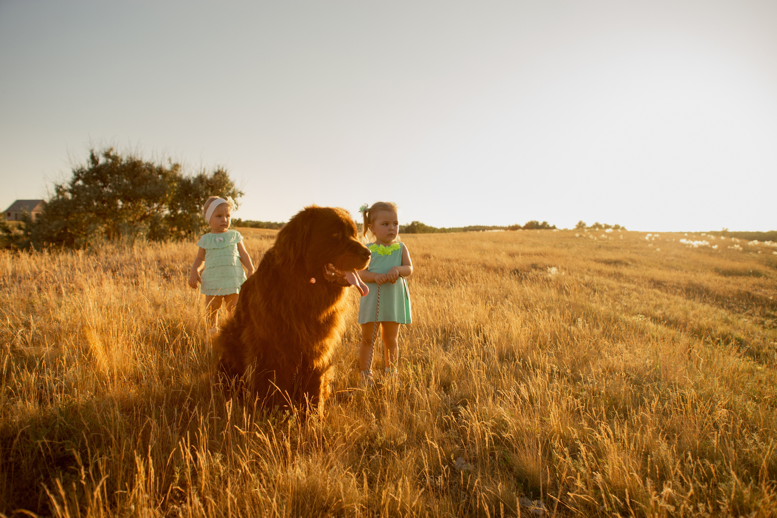 Аня, Вячеслав и дочки Соня и Лера. Ольга Плаксина фотограф в Саратове