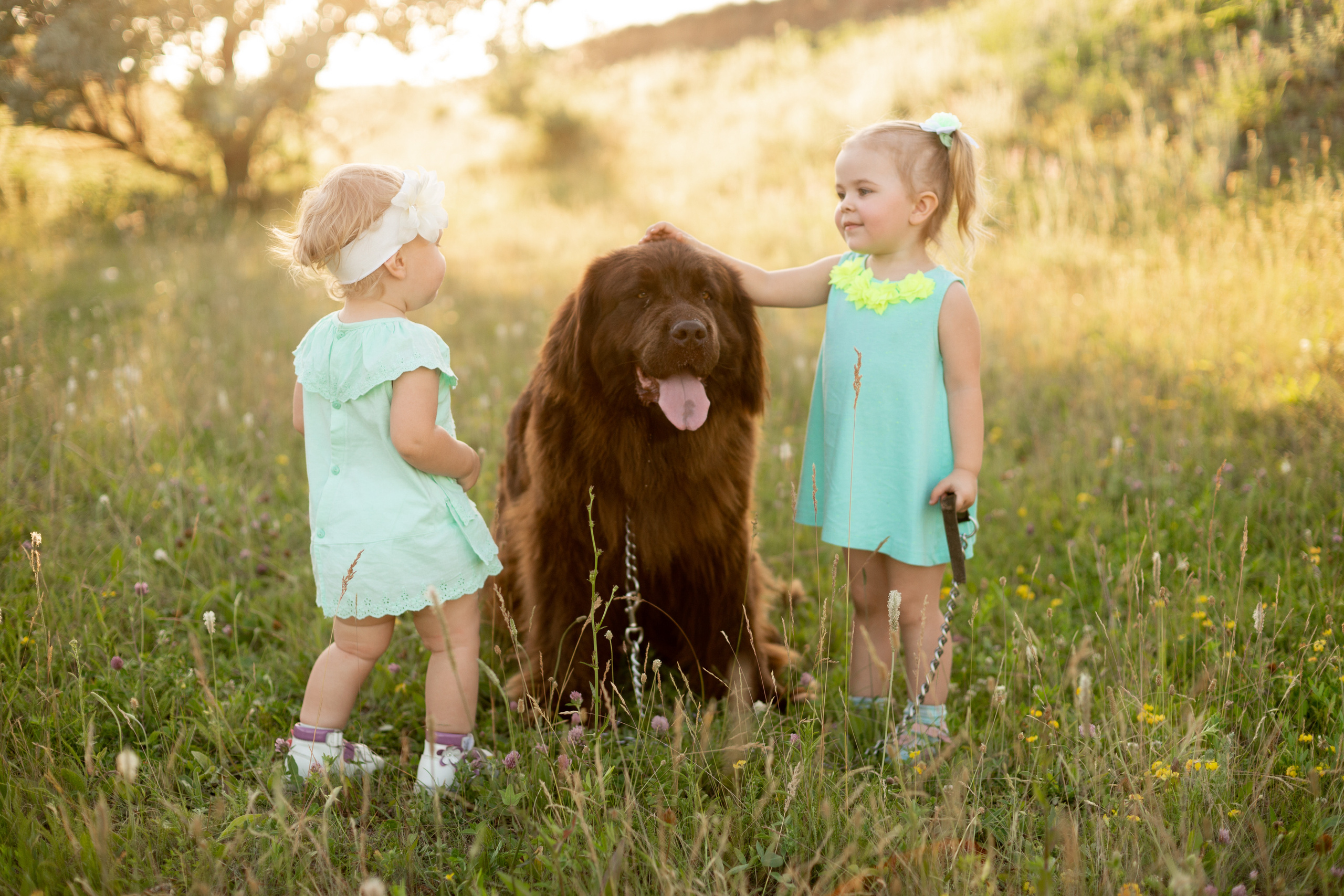 Аня, Вячеслав и дочки Соня и Лера. Ольга Плаксина фотограф в Саратове