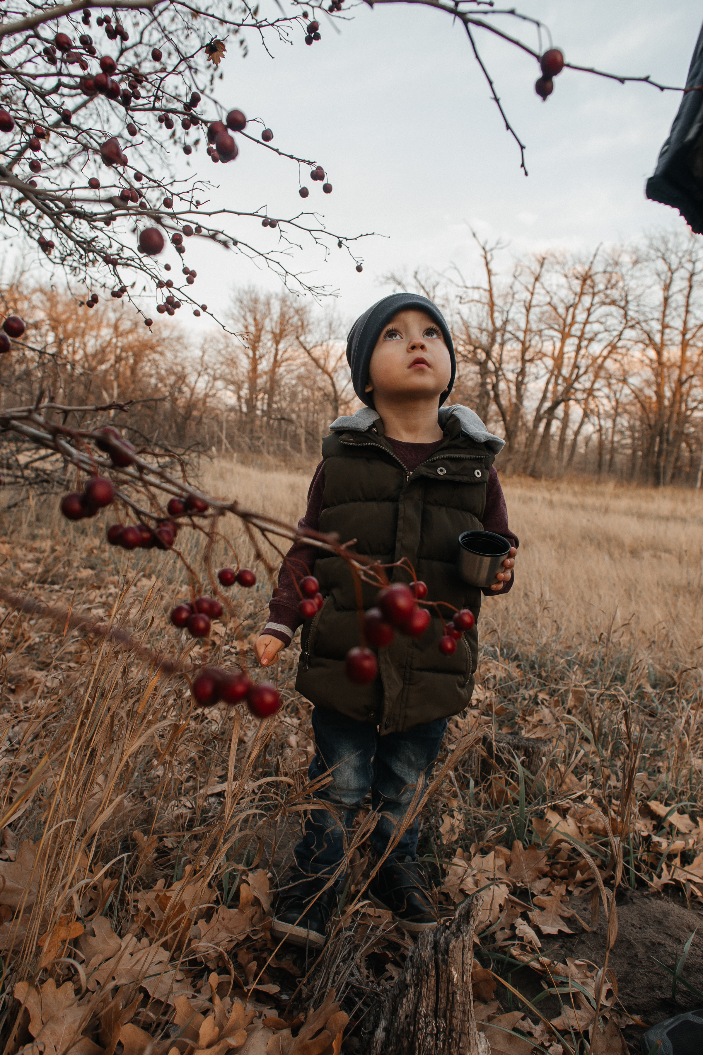 Семейный пикник. Ольга Плаксина фотограф в Саратове