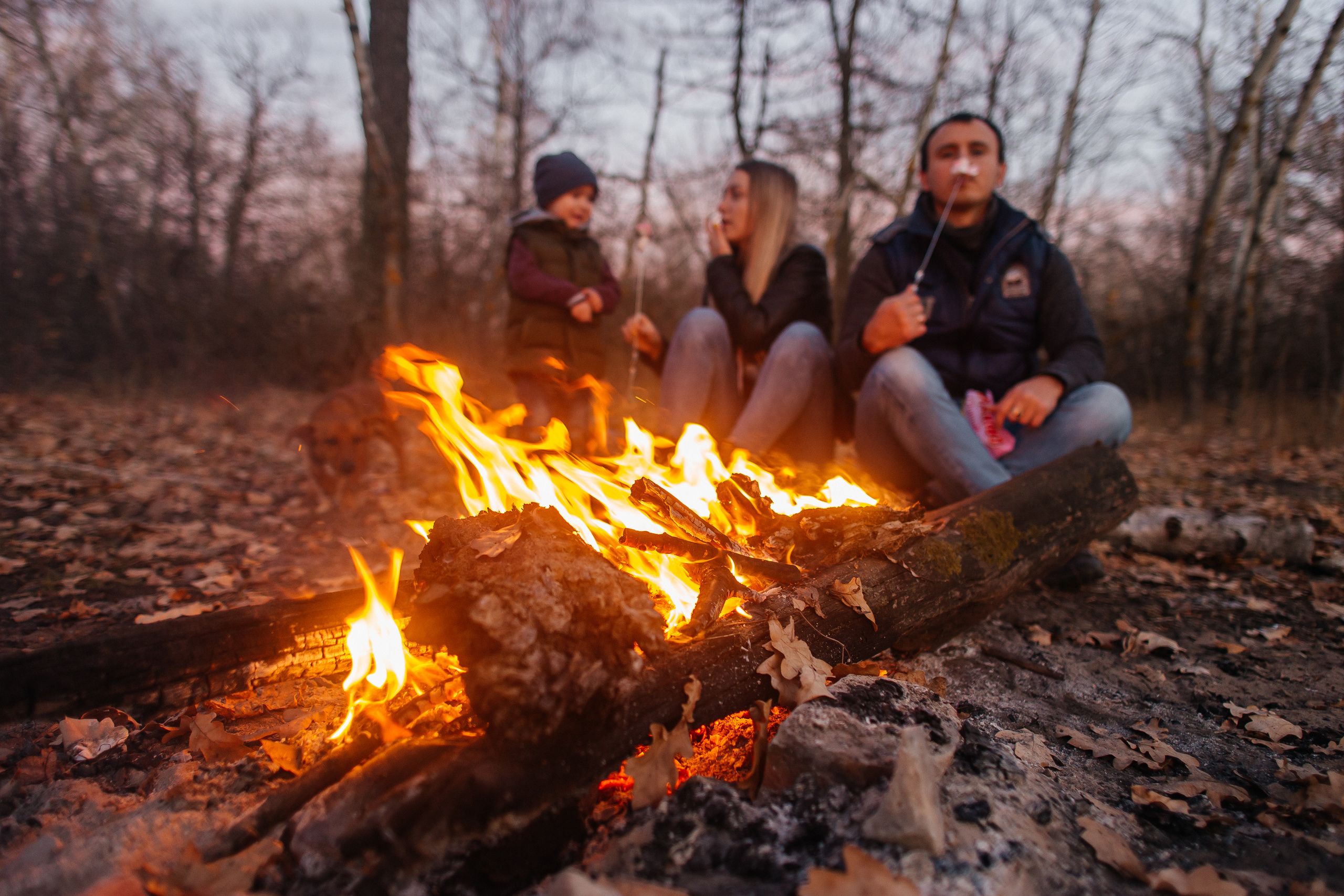 Семейный пикник. Ольга Плаксина фотограф в Саратове
