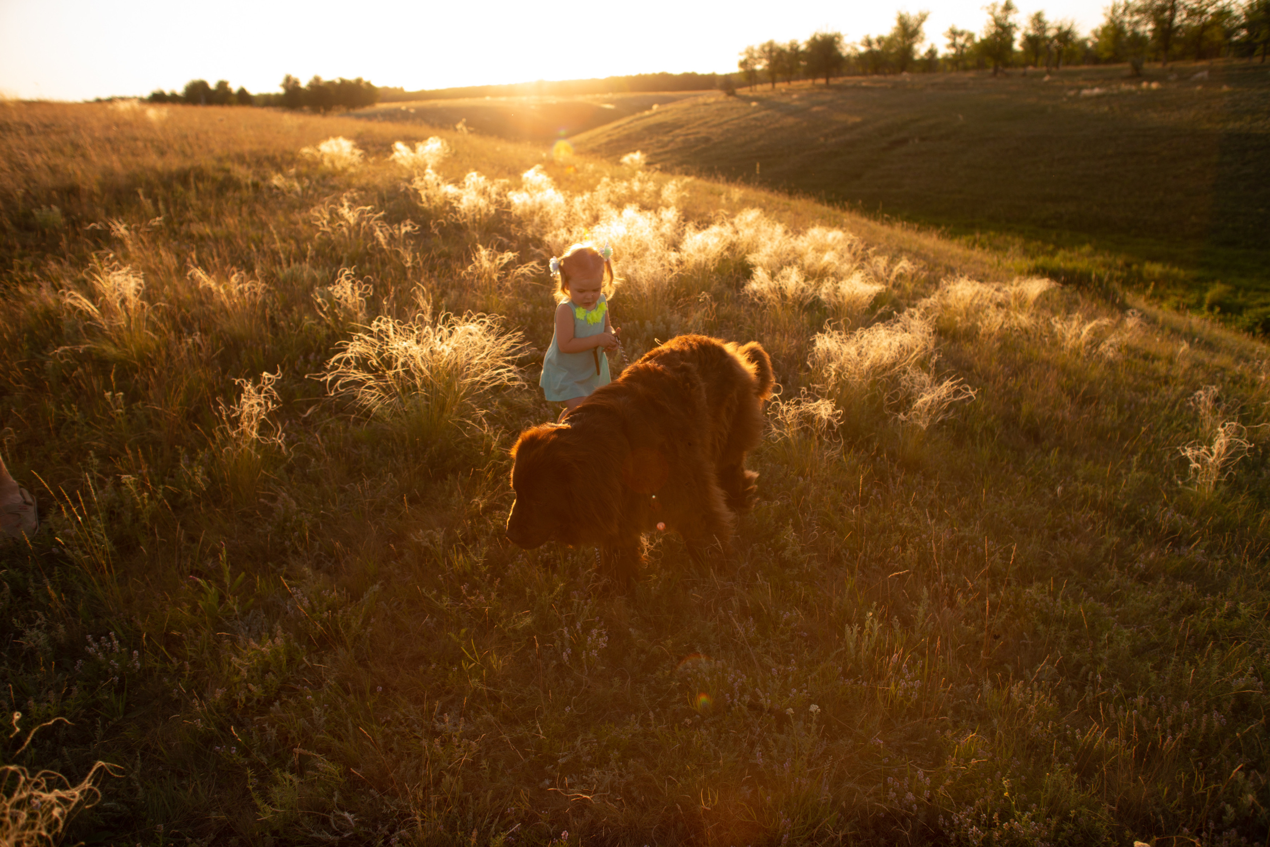 Аня, Вячеслав и дочки Соня и Лера. Ольга Плаксина фотограф в Саратове