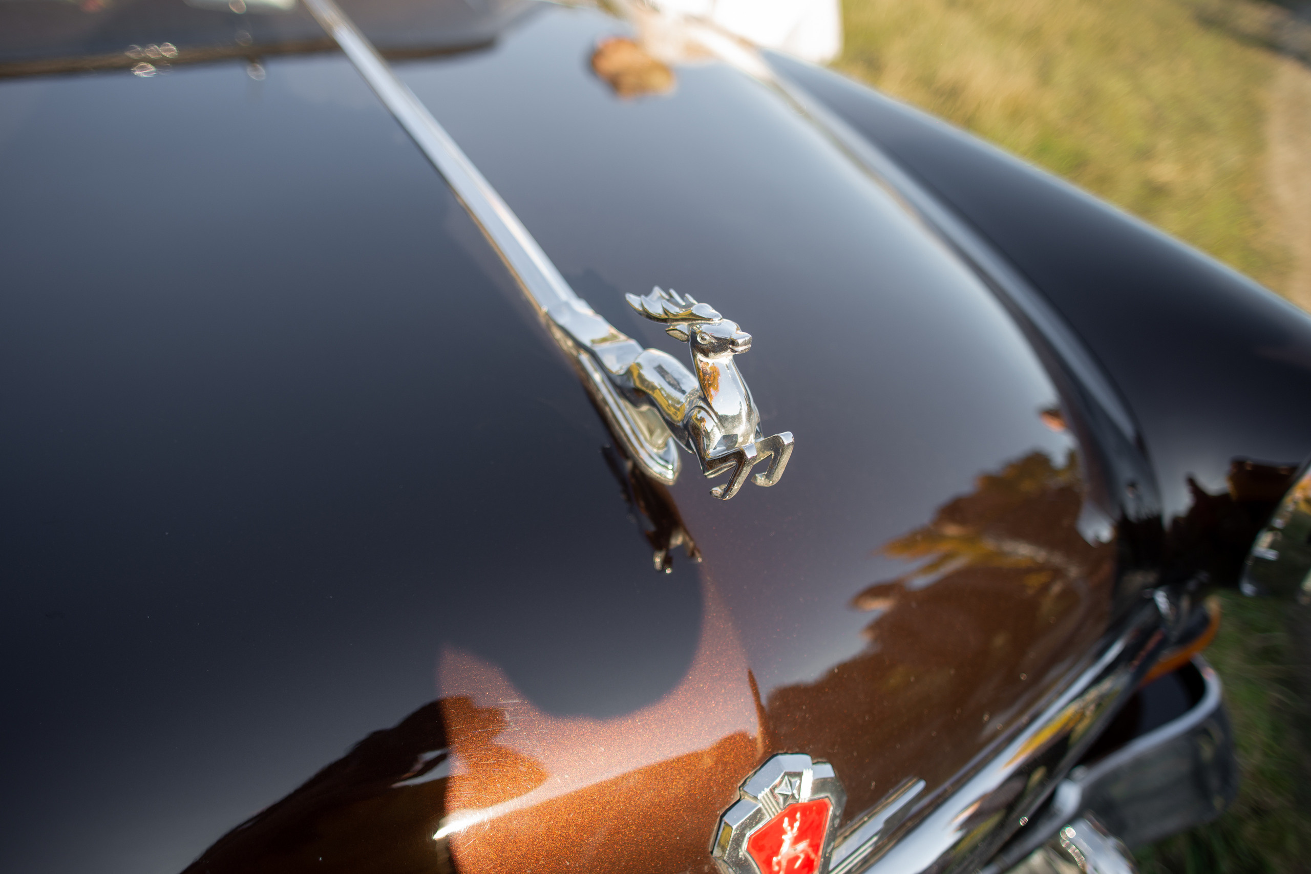 Осенью. Ольга Плаксина фотограф в Саратове