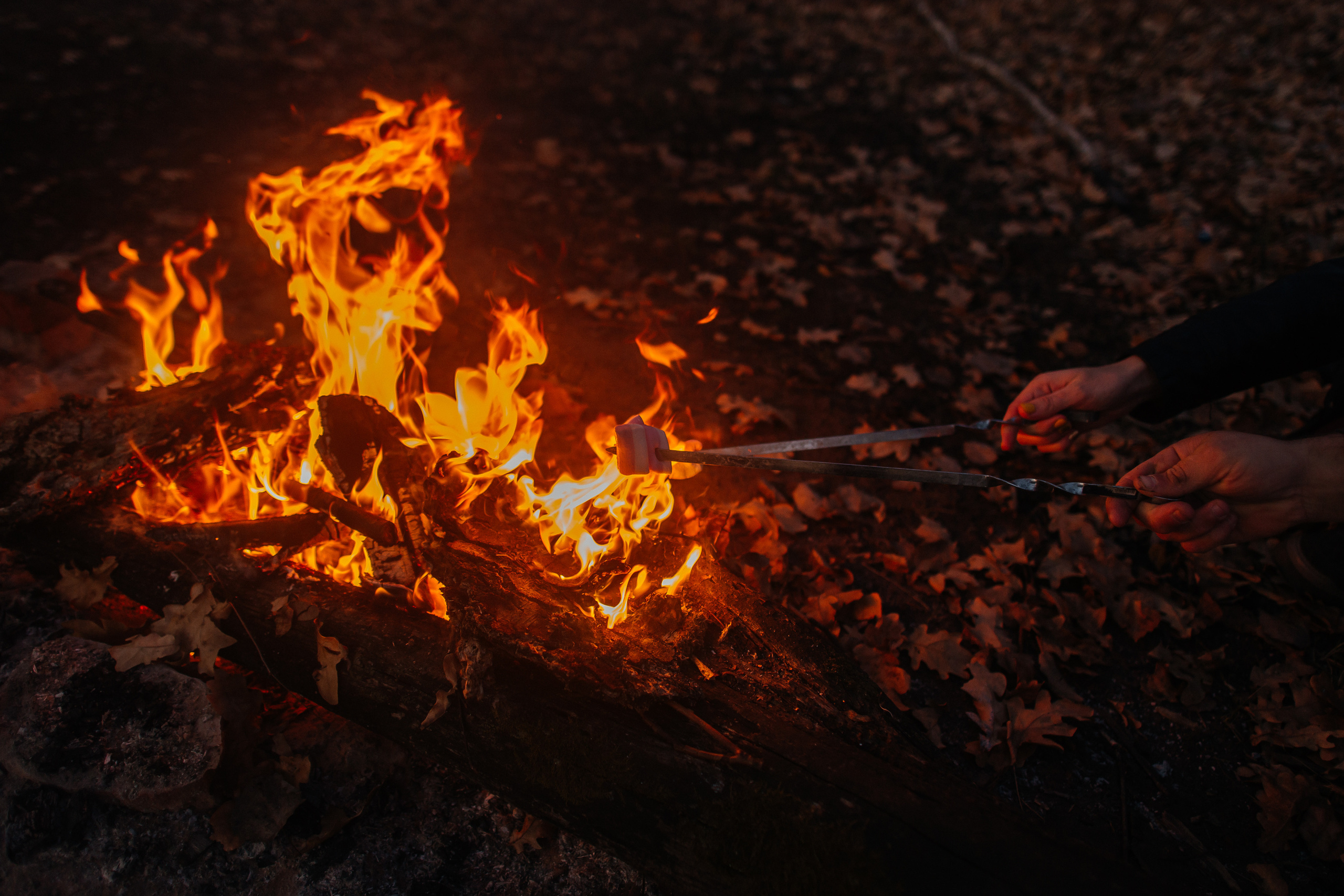 Семейный пикник. Ольга Плаксина фотограф в Саратове