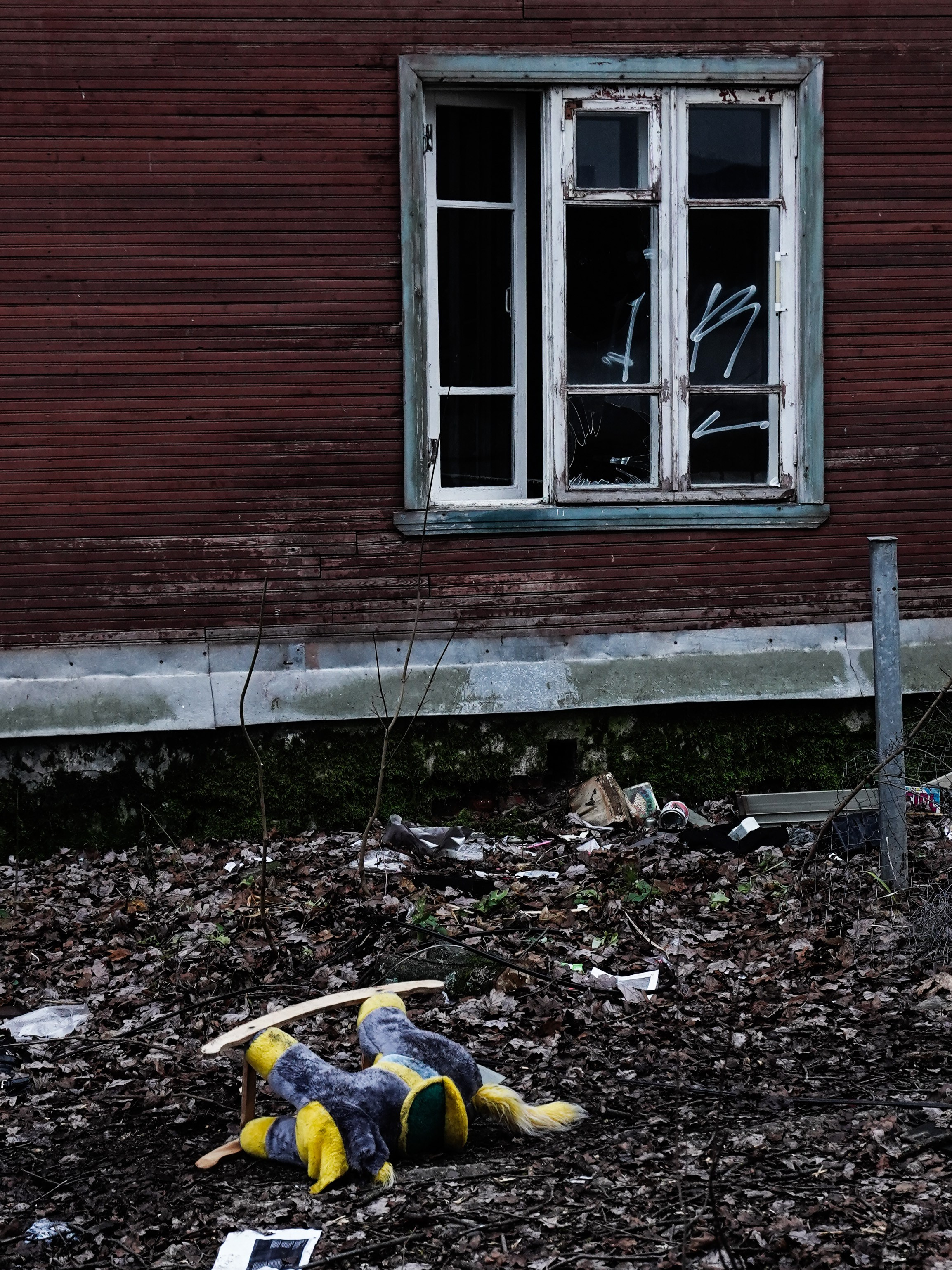 Уличная Съемка (3). Видео и Фото