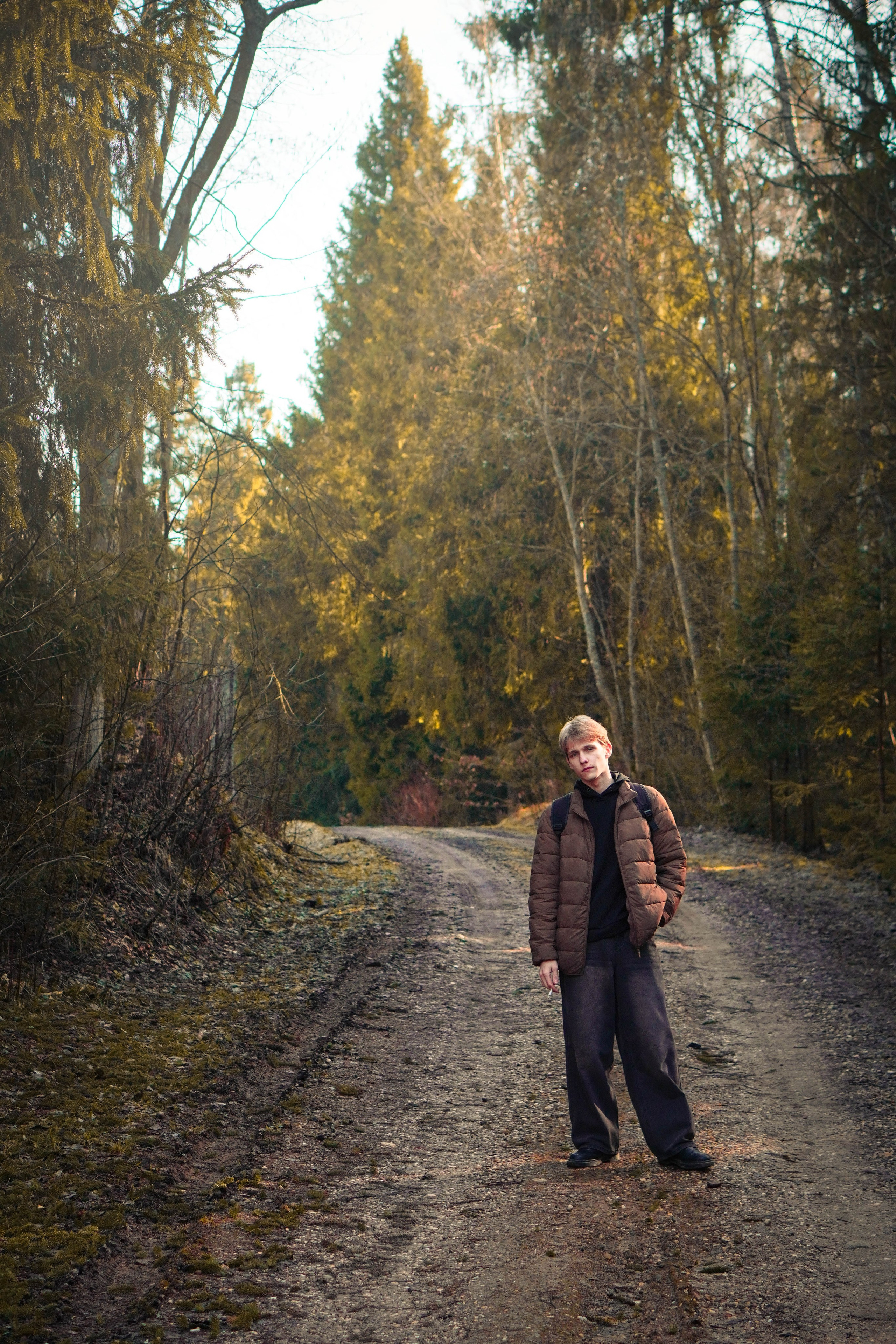 Лев. Видео и Фото