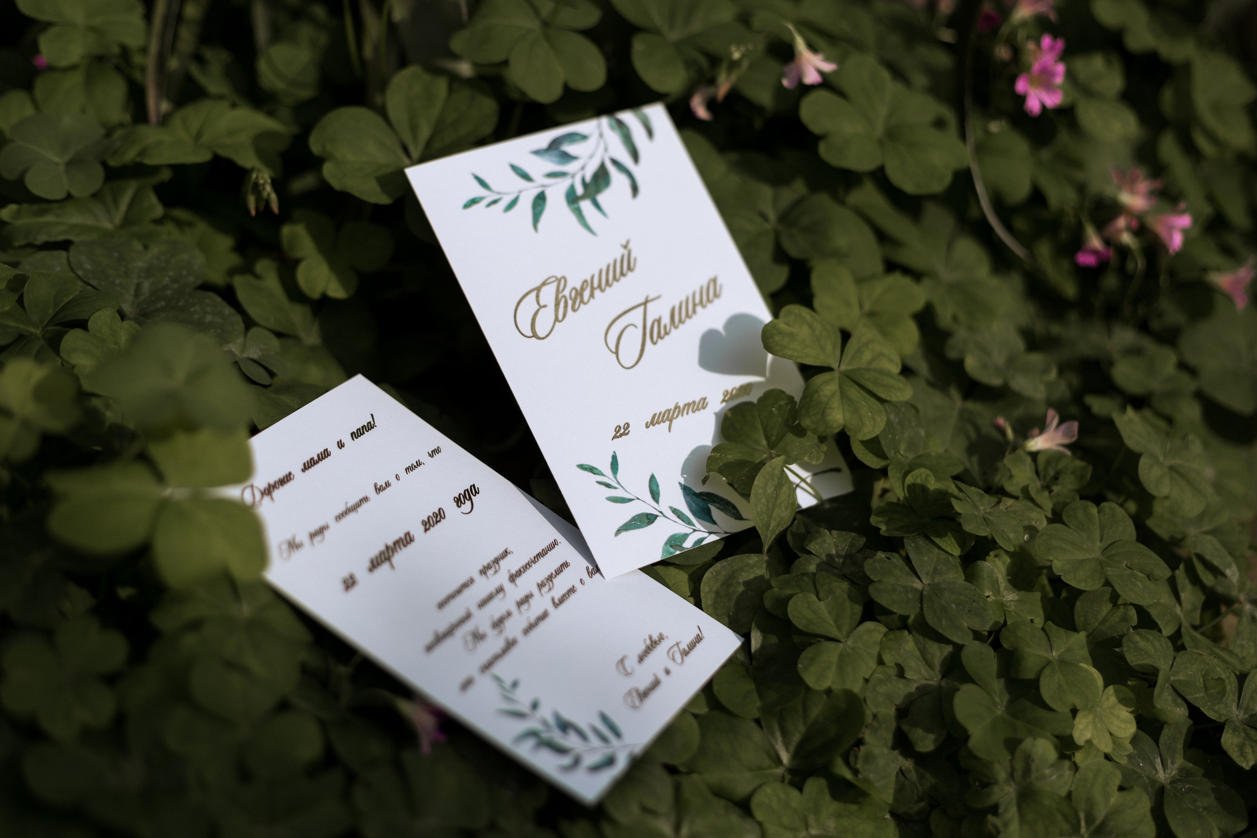 Свадебная фотосессия в оранжерее. Свадебный и семейный фотограф в Волгограде Кристина Иванова