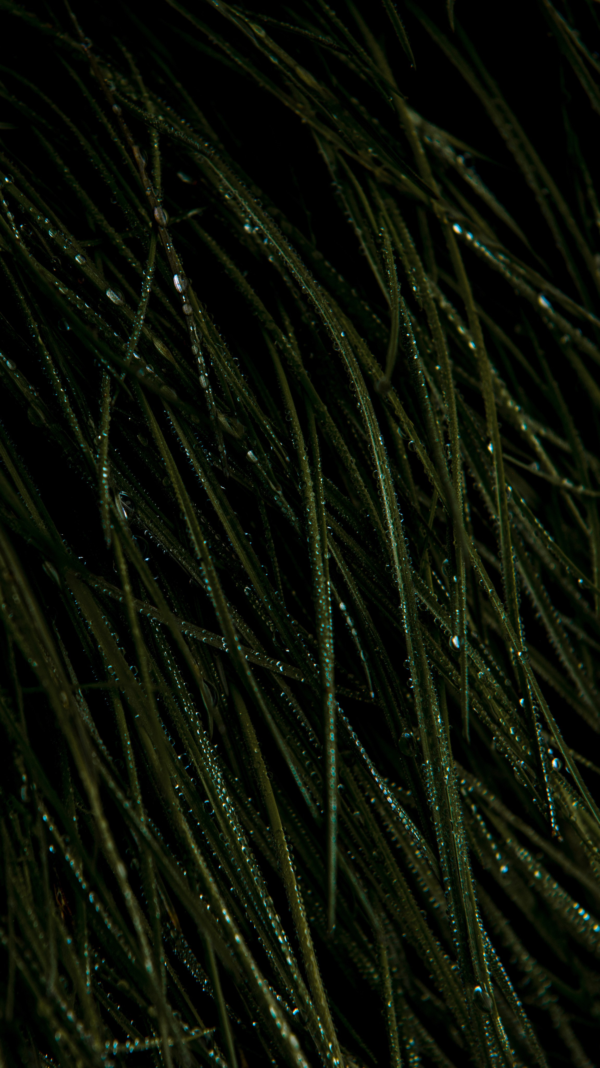 Хрусталь на траве. Профессиональная High-End Ретушь | Ретушер и предметный фотограф Алла Белова