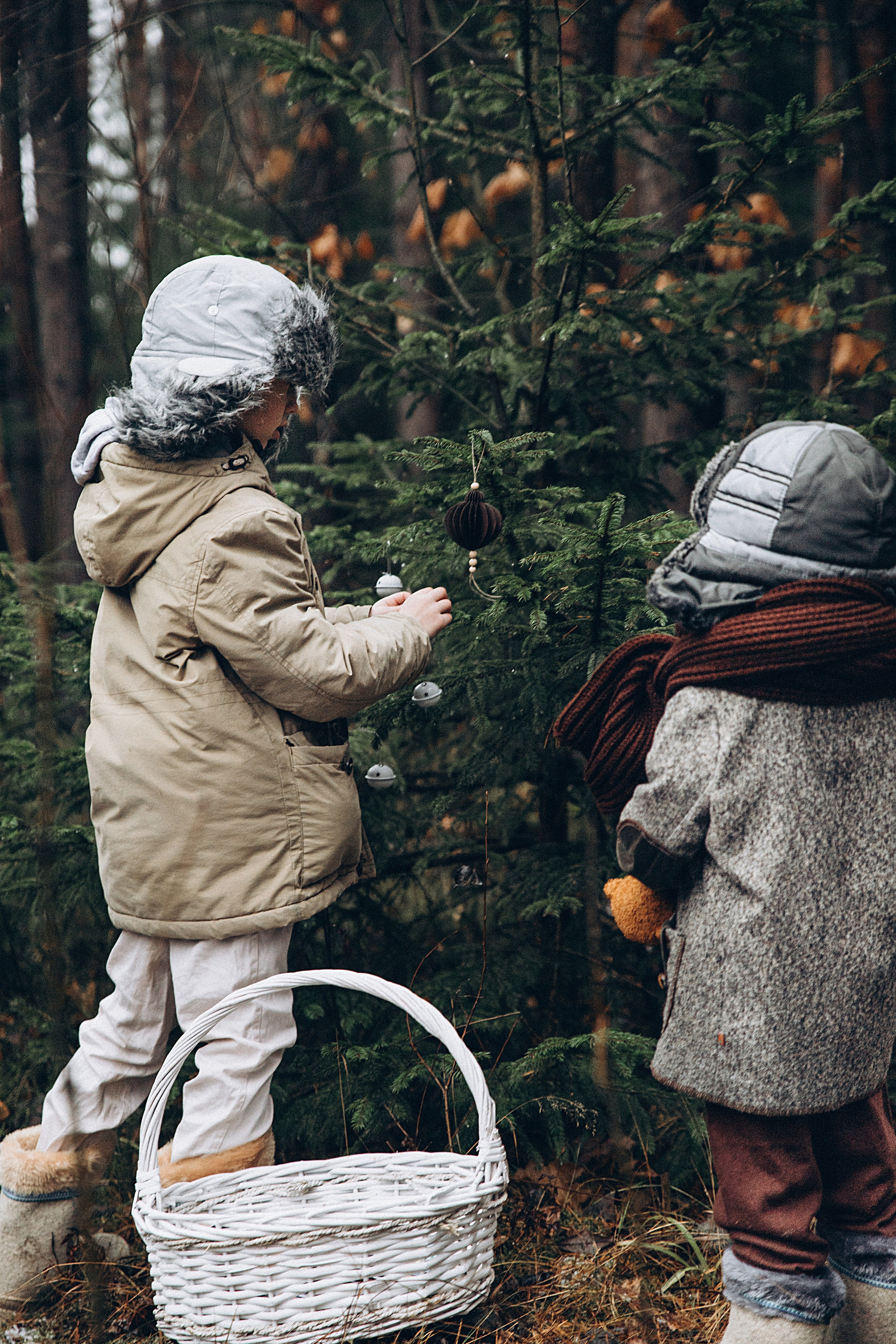 Елка в лесу. Репортажный и детский фотограф в Минске