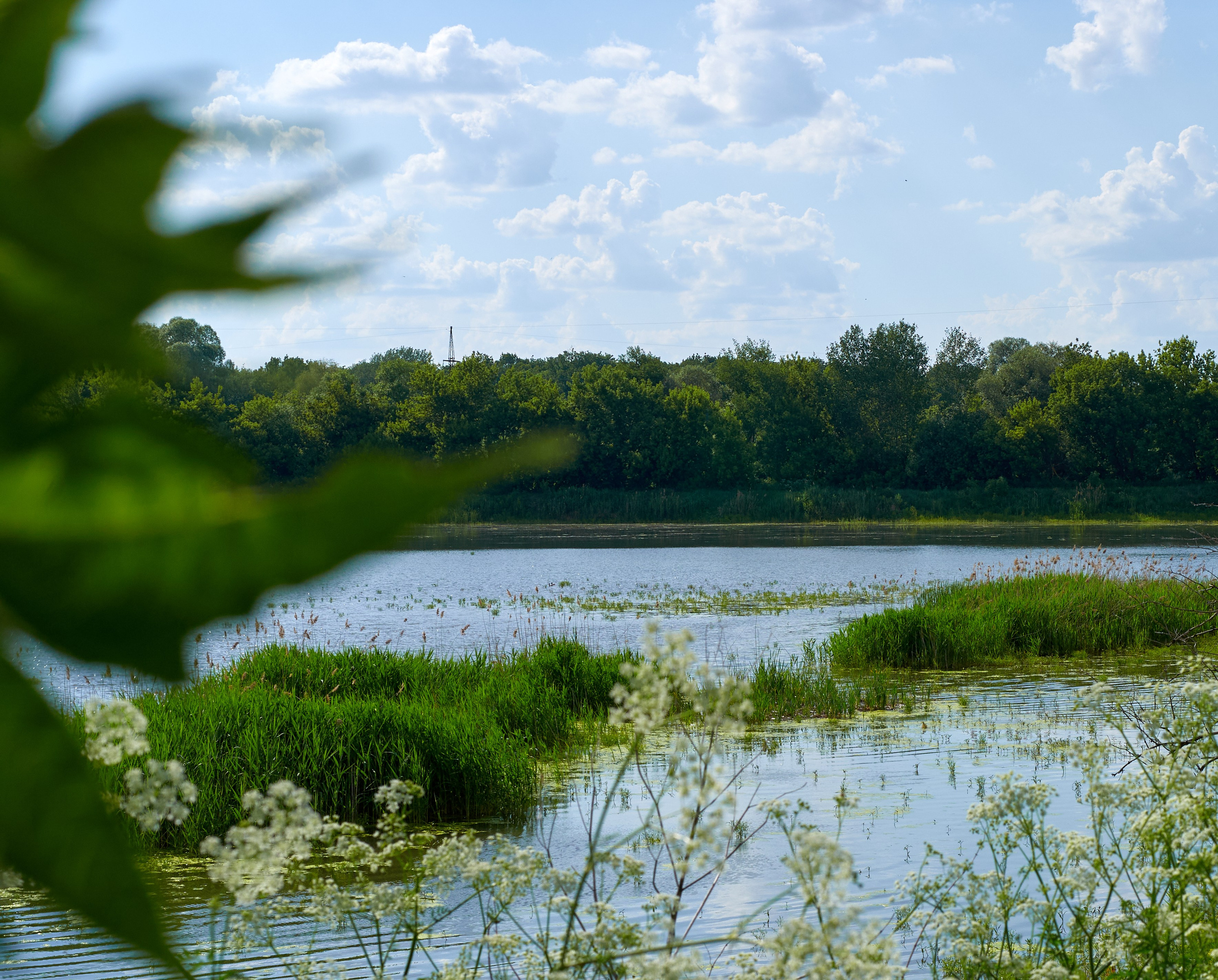 Искусство пейзажа: гармония природы в фотографиях. Координаты красоты — география в фокусе