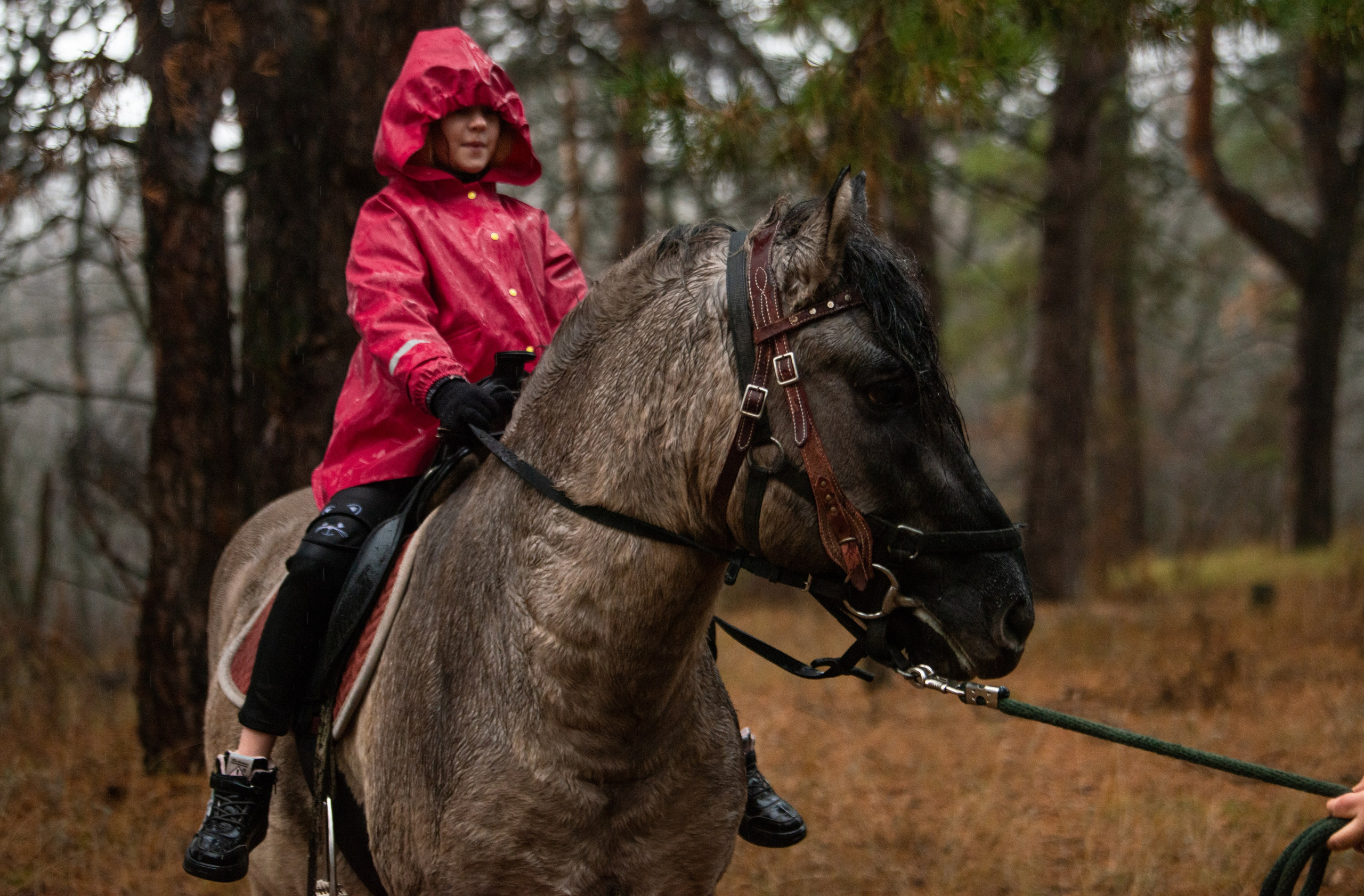 Конный лагерь в Родославном. Конный фотограф в Саратове Юлия Иванова