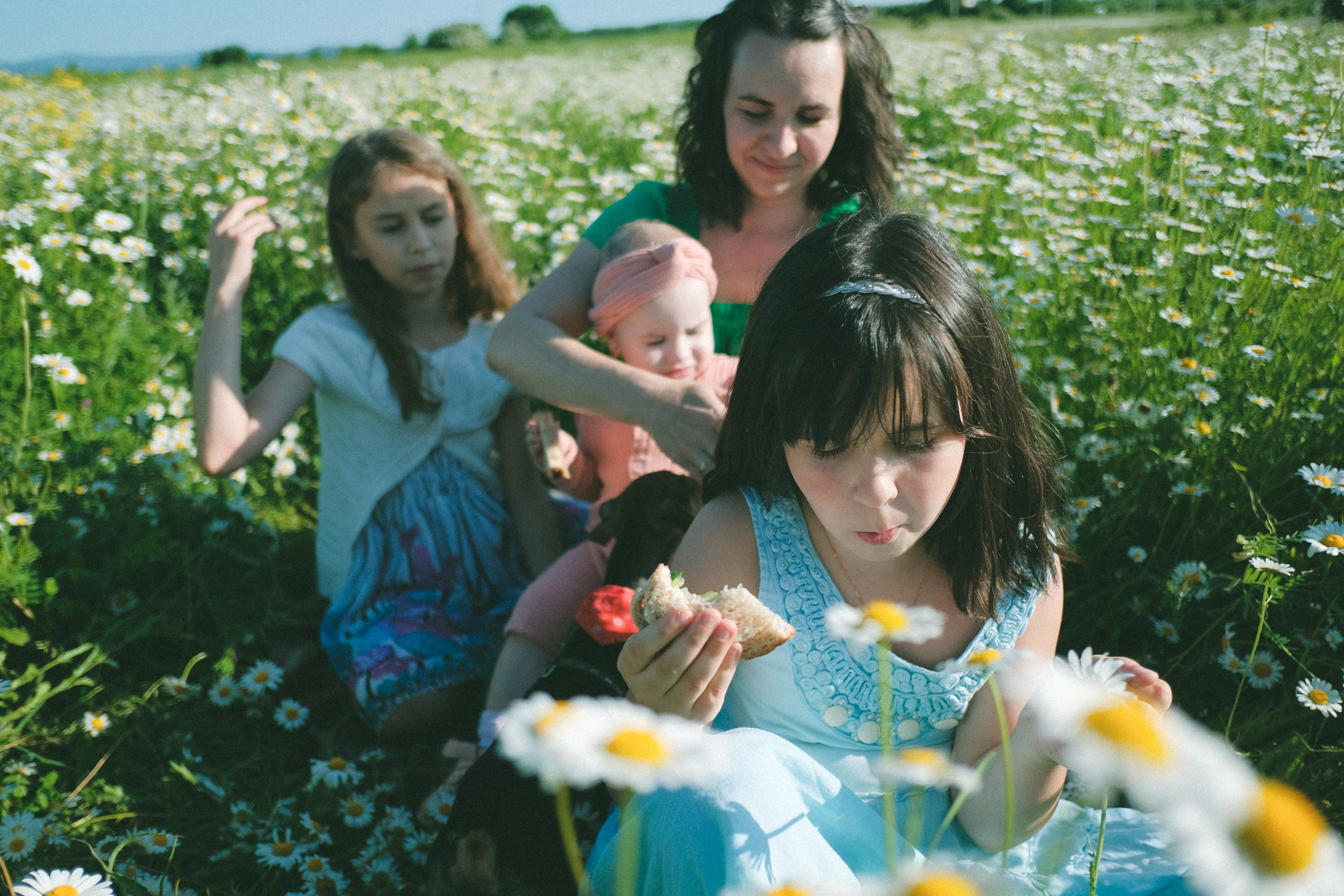 Ждановы в ромашках. Женский и семейный фотограф в Краснодаре и крае Таня Мустафина