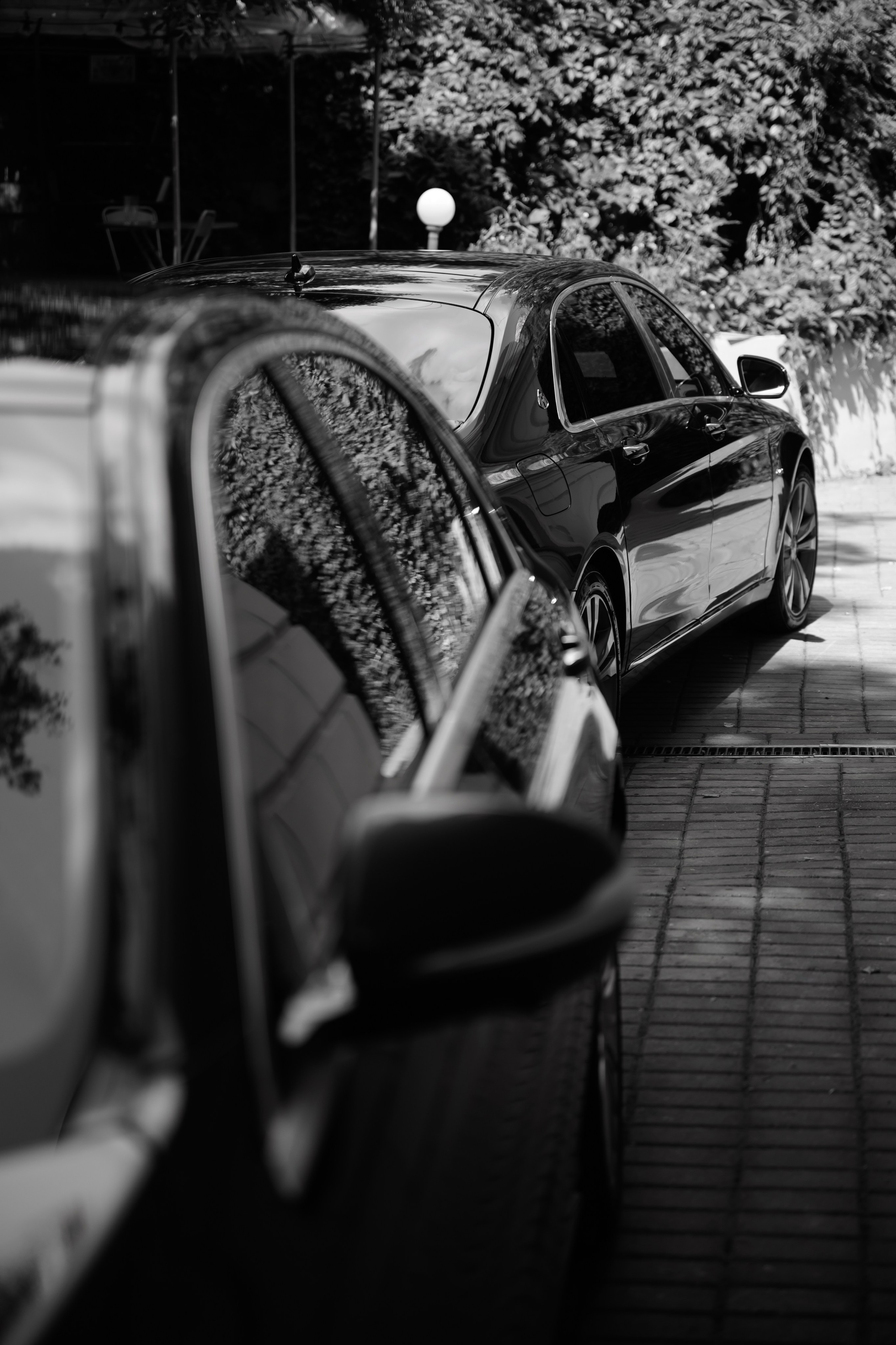 Пушкинъ. Свадебный фотограф в Москве Владимир Симонов