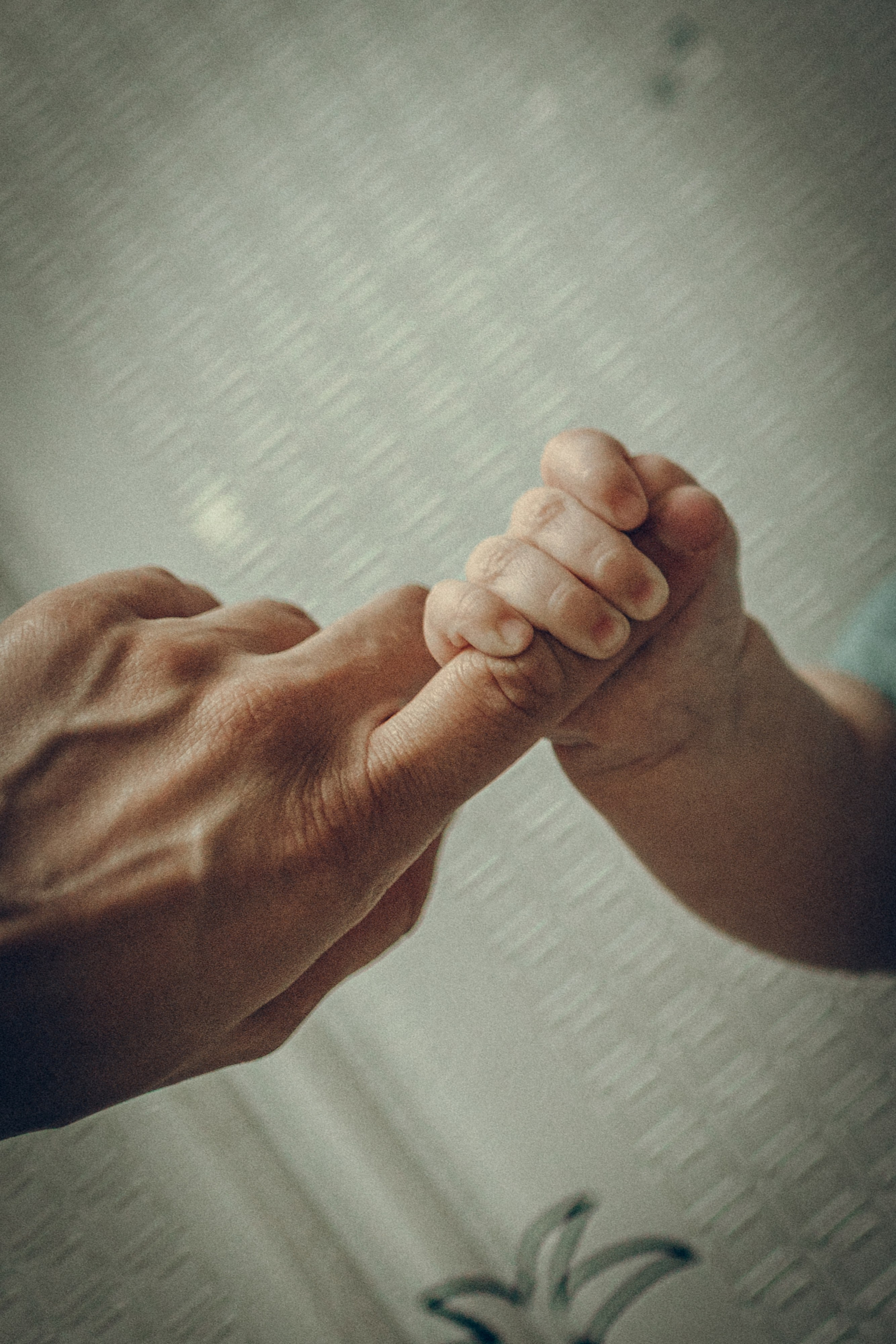 Family moments. Семейный фотограф и фотограф на роды в Ростове-на-Дону Мухина Виктория