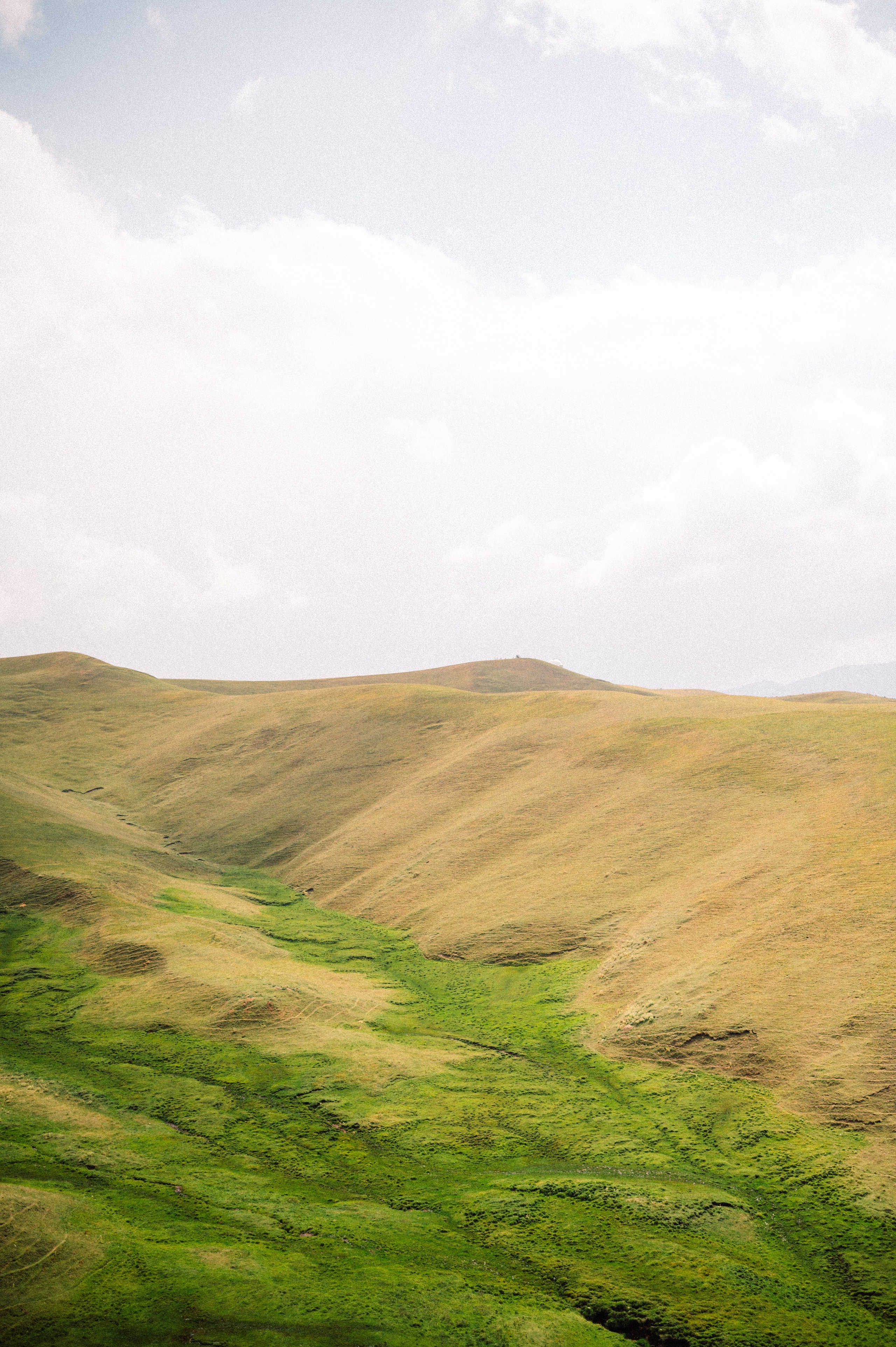 Плато Ассы: июль 2025. Фотограф в Алматы — Дарья Фёдорова