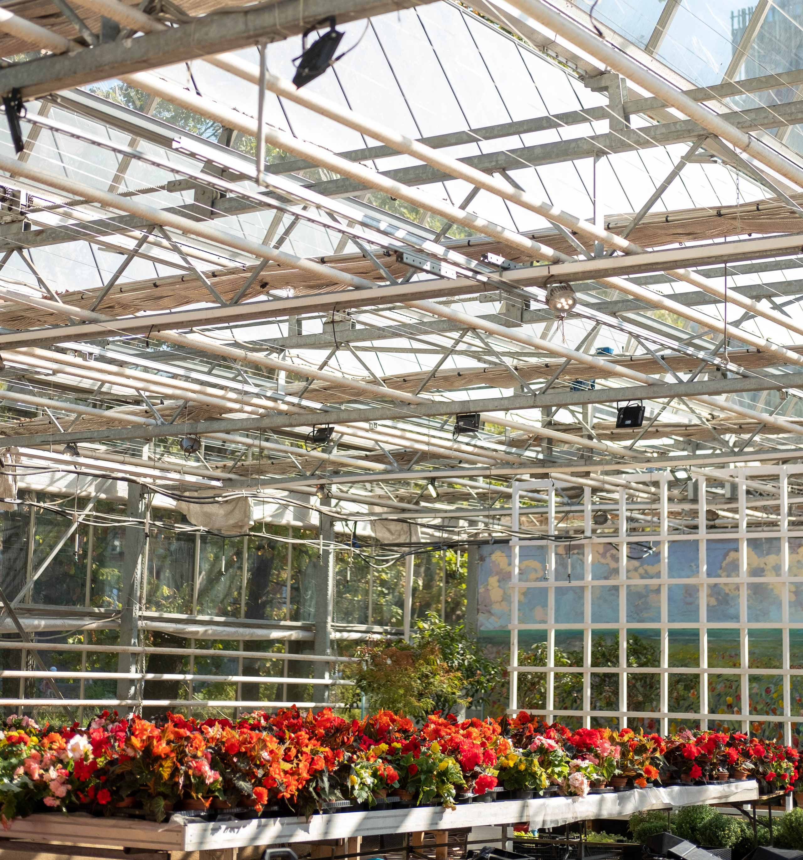 Москва 2024. Свадебный и семейный фотограф в Новосибирске, Санкт-Петербурге, Москве