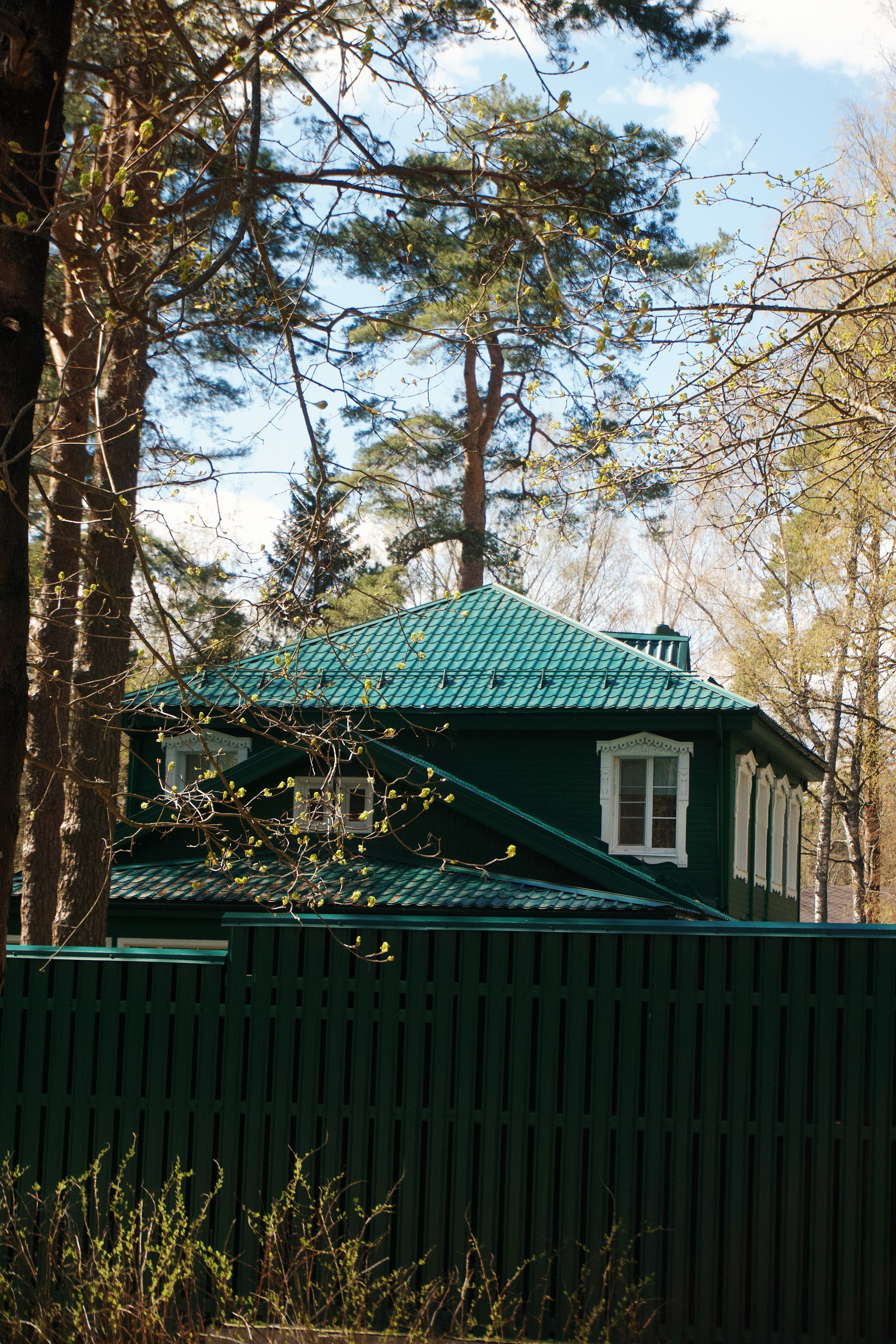 Петербург. Татьян гертье