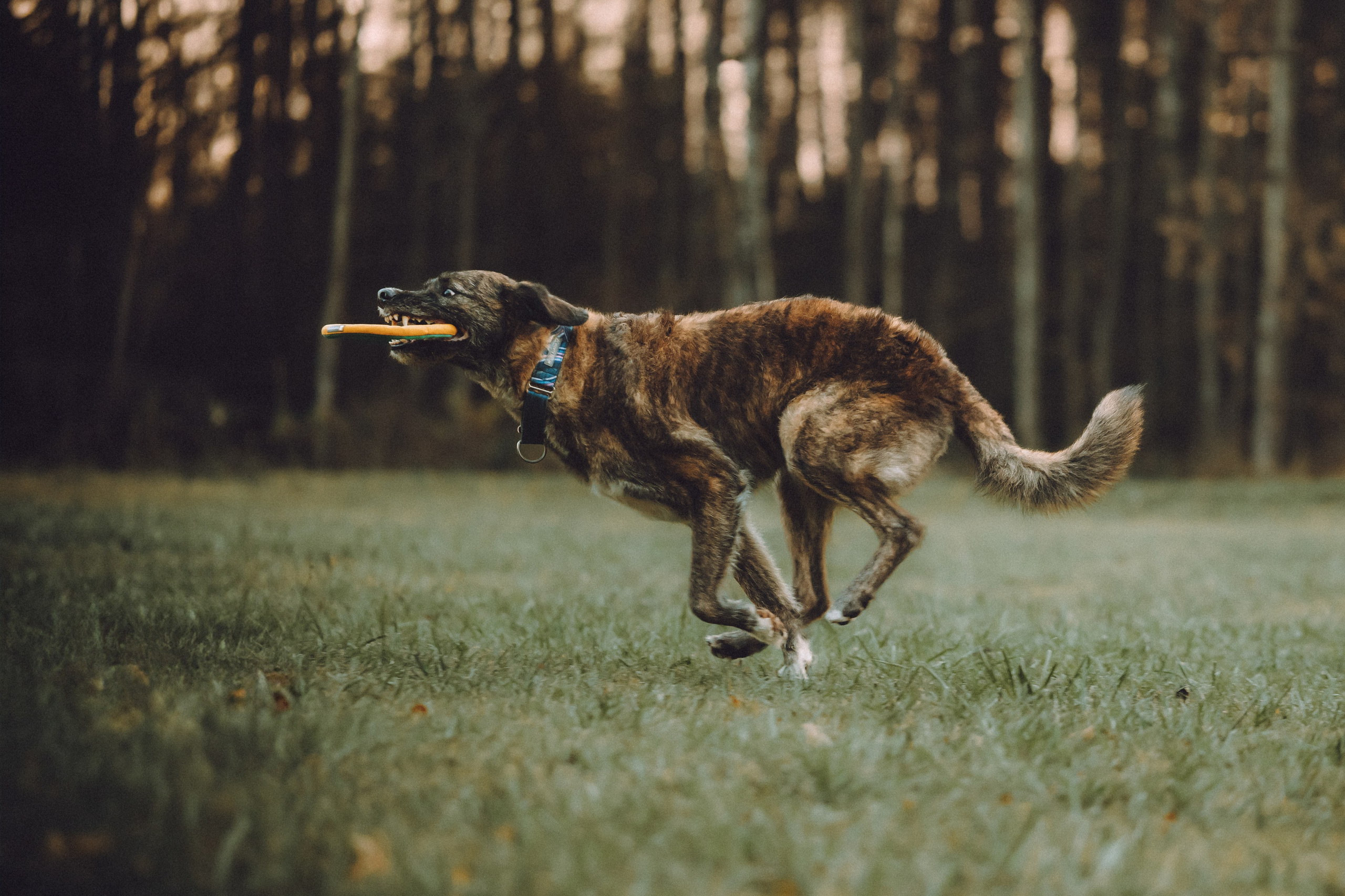 Рик, Джек и их семья