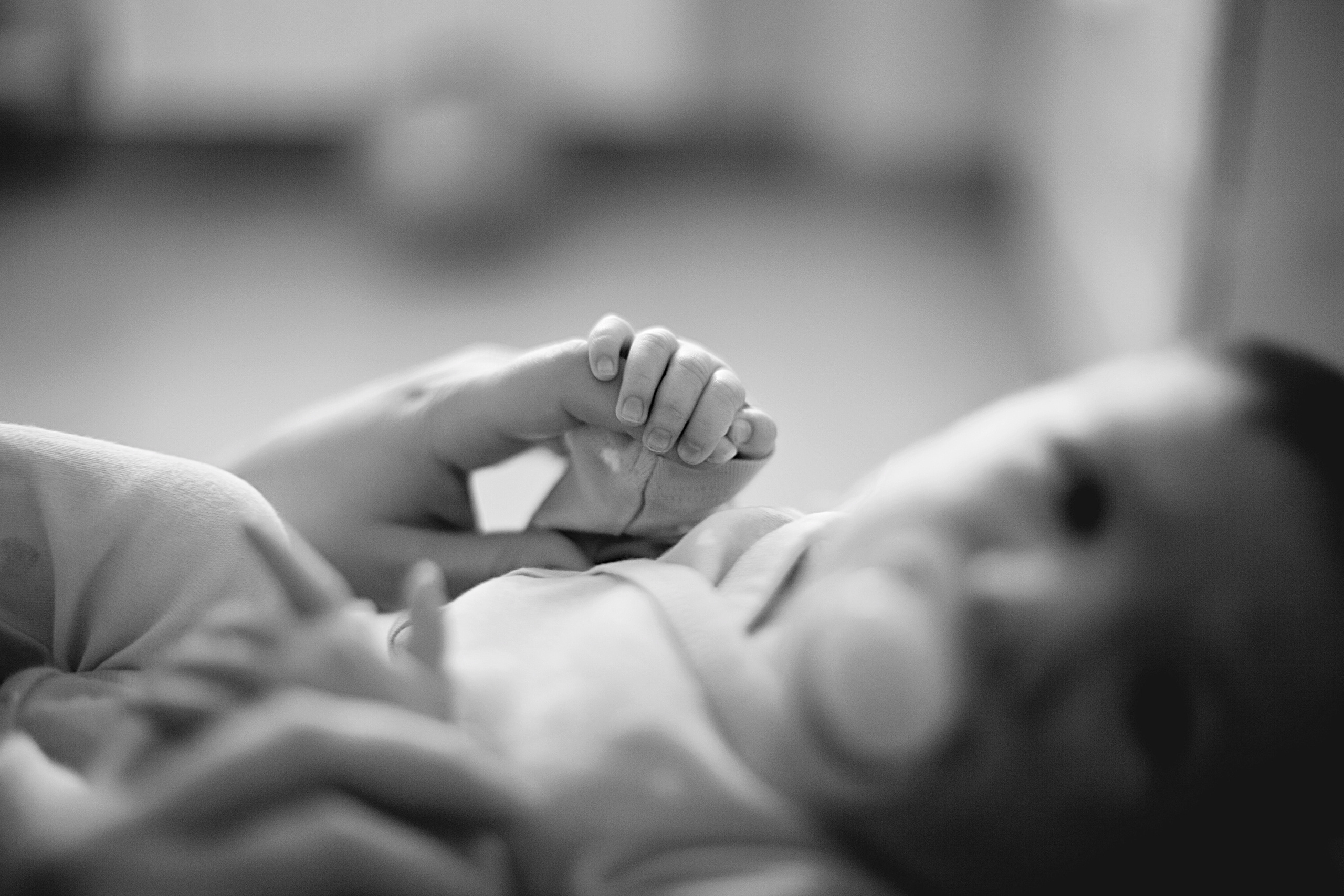 Стоимость. Фотограф новорожденных и детей до года в Новосибирске Ka