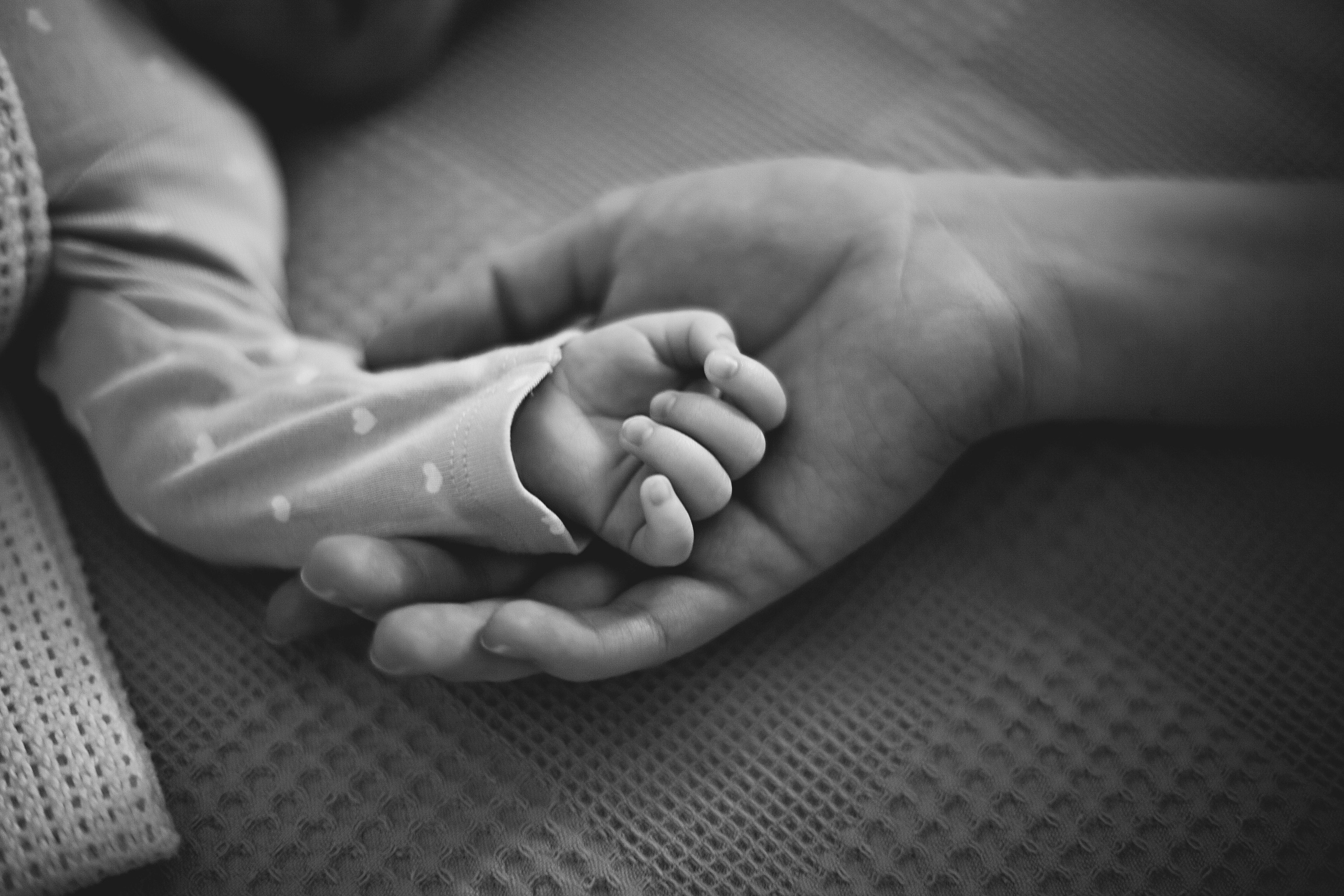 Стоимость. Фотограф новорожденных и детей до года в Новосибирске Ka