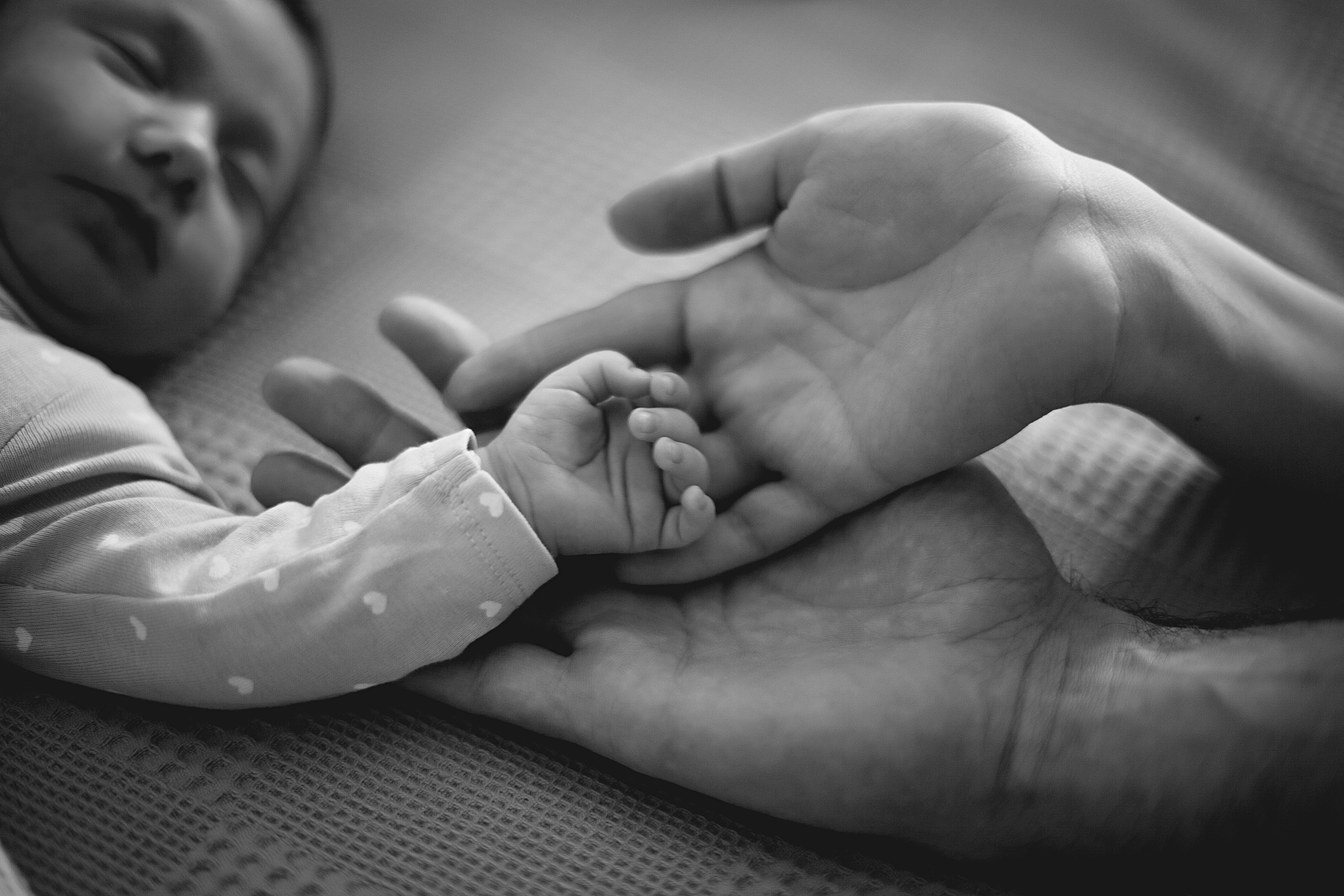 Стоимость. Фотограф новорожденных и детей до года в Новосибирске Ka