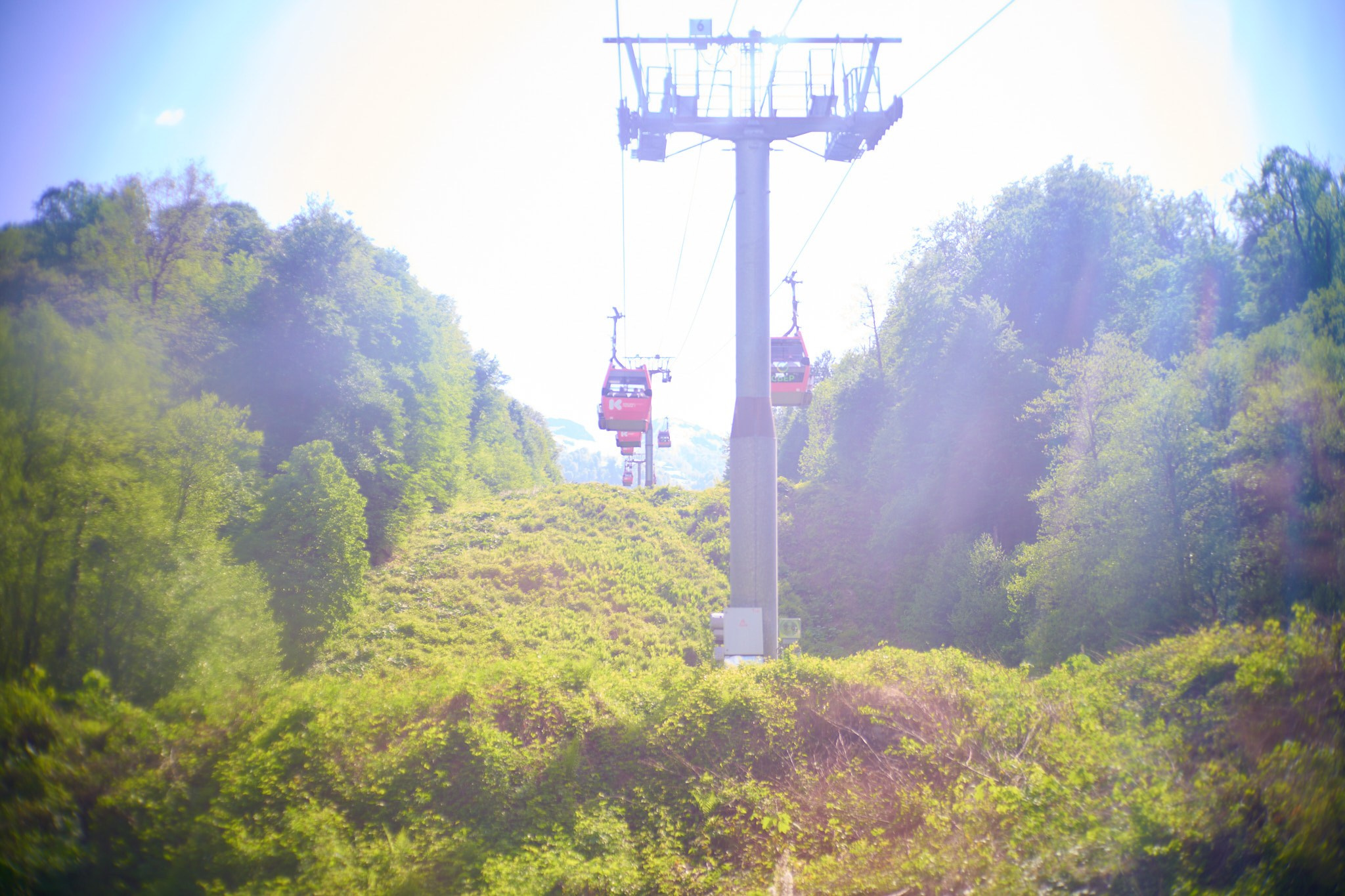 Красная Поляна, апрель 2024. Фотограф, Римма Невинская