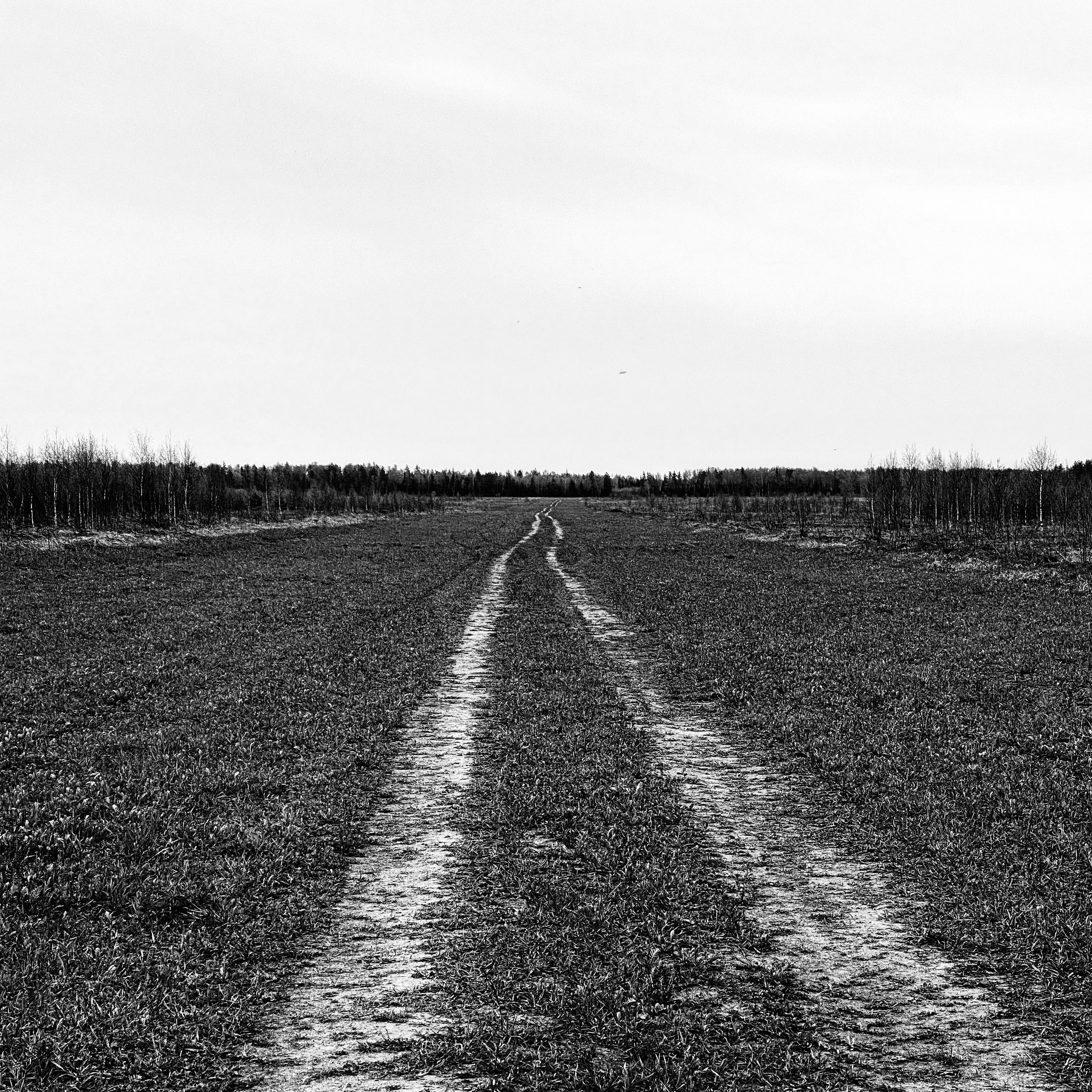 Работы с телефона. Свадебный фотограф в Москве Сафонова Анна