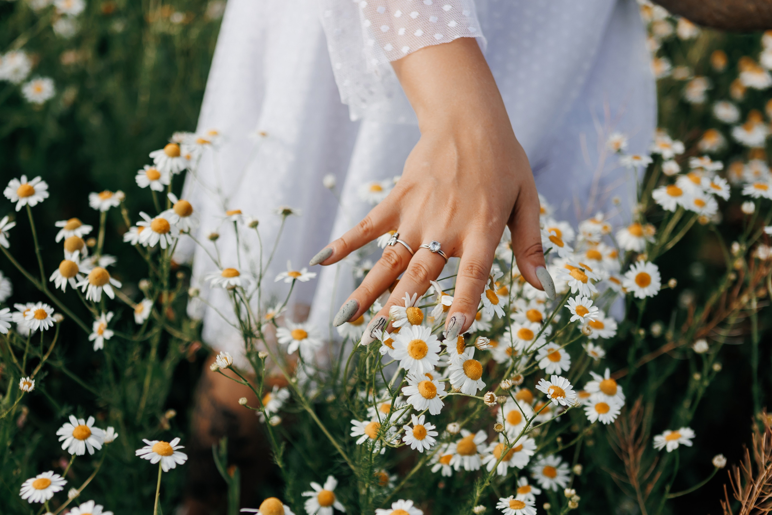 Юлия. Свадебный, семейный фотограф. Выпускные альбомы в Коченёво / Новосибирск. Наталья Байкуш