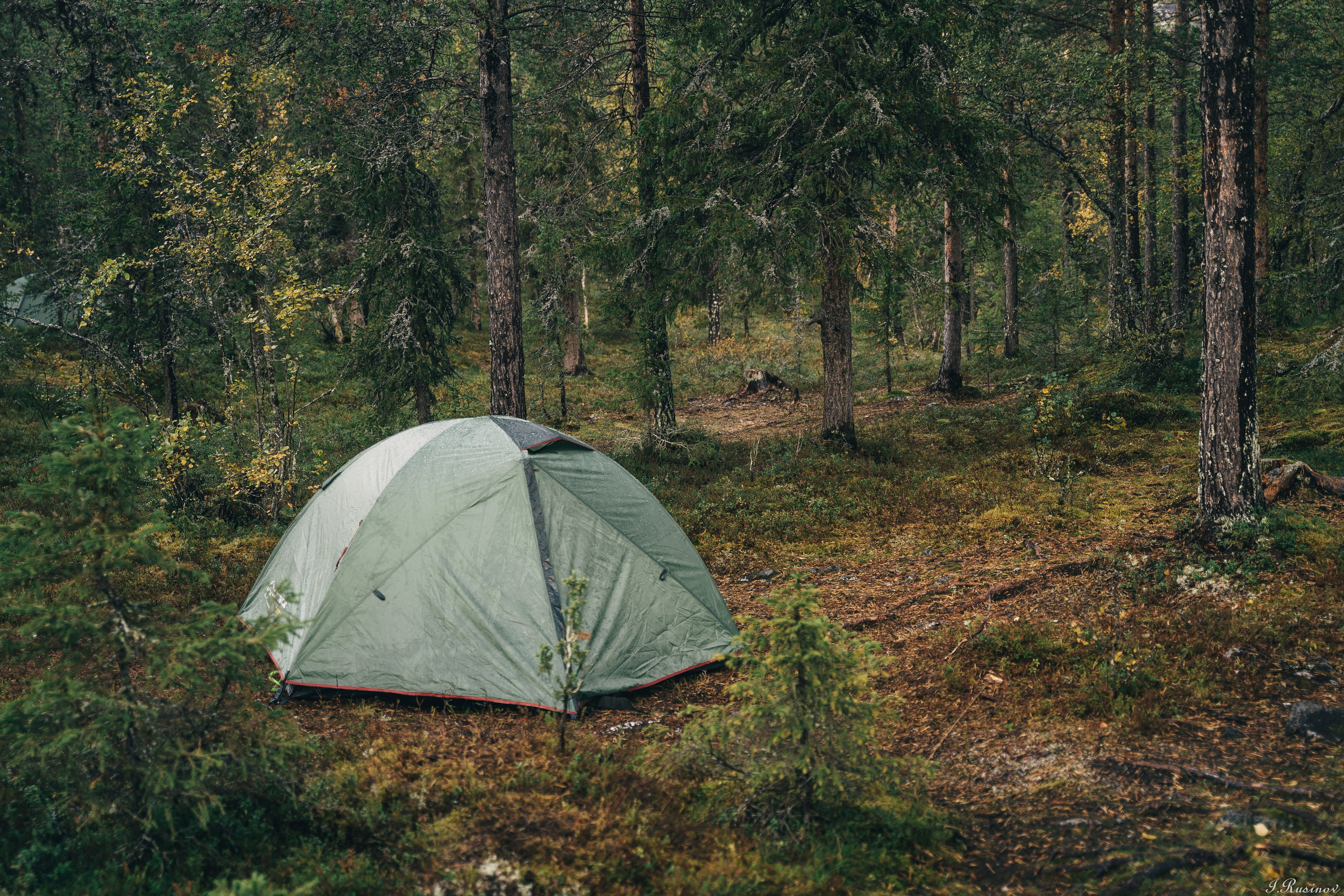ХИБИНЫ 2021 г. Event фотограф Степанова Александра