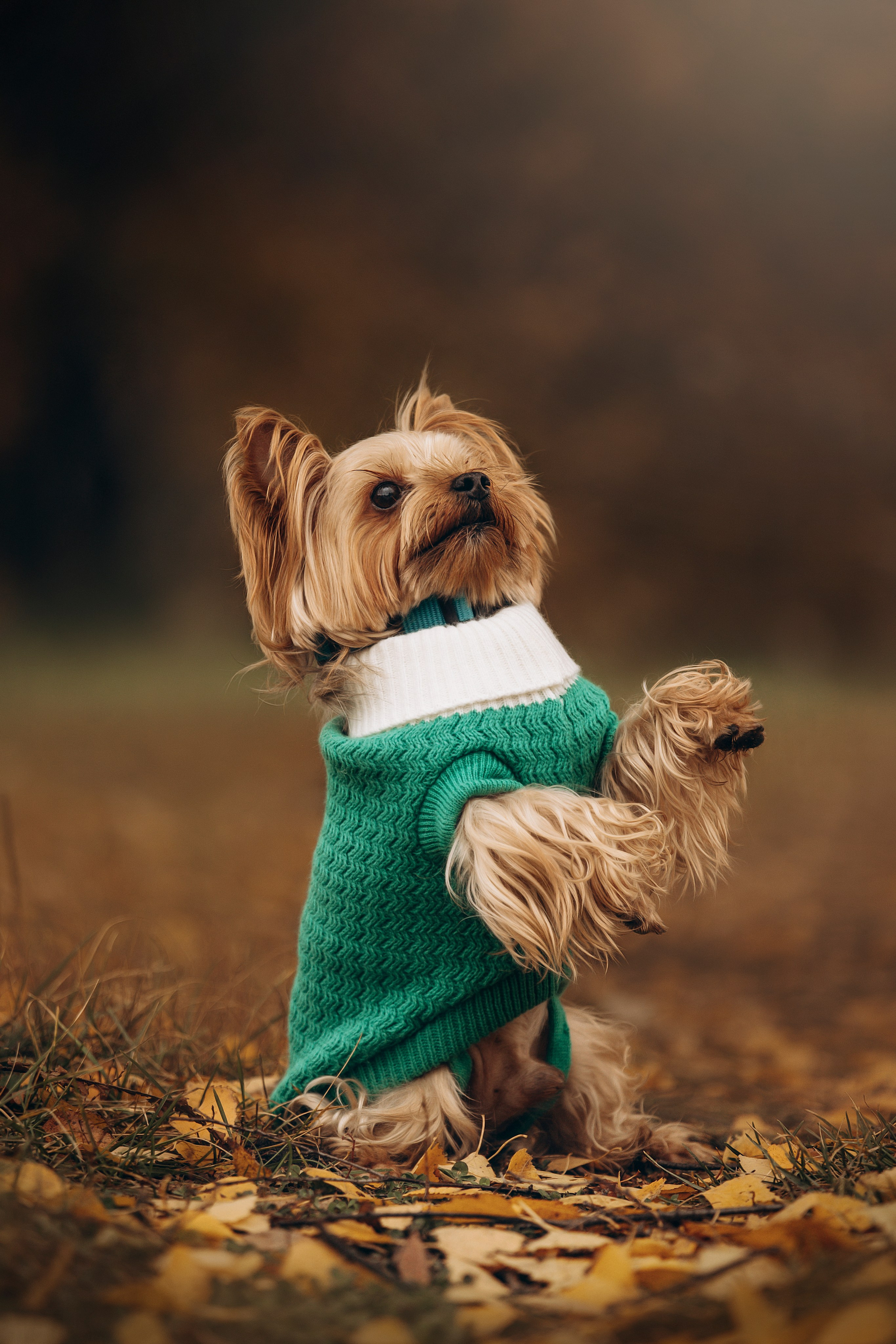 Настя и Тёма. Фотограф — Анималист | Санкт-Петербург