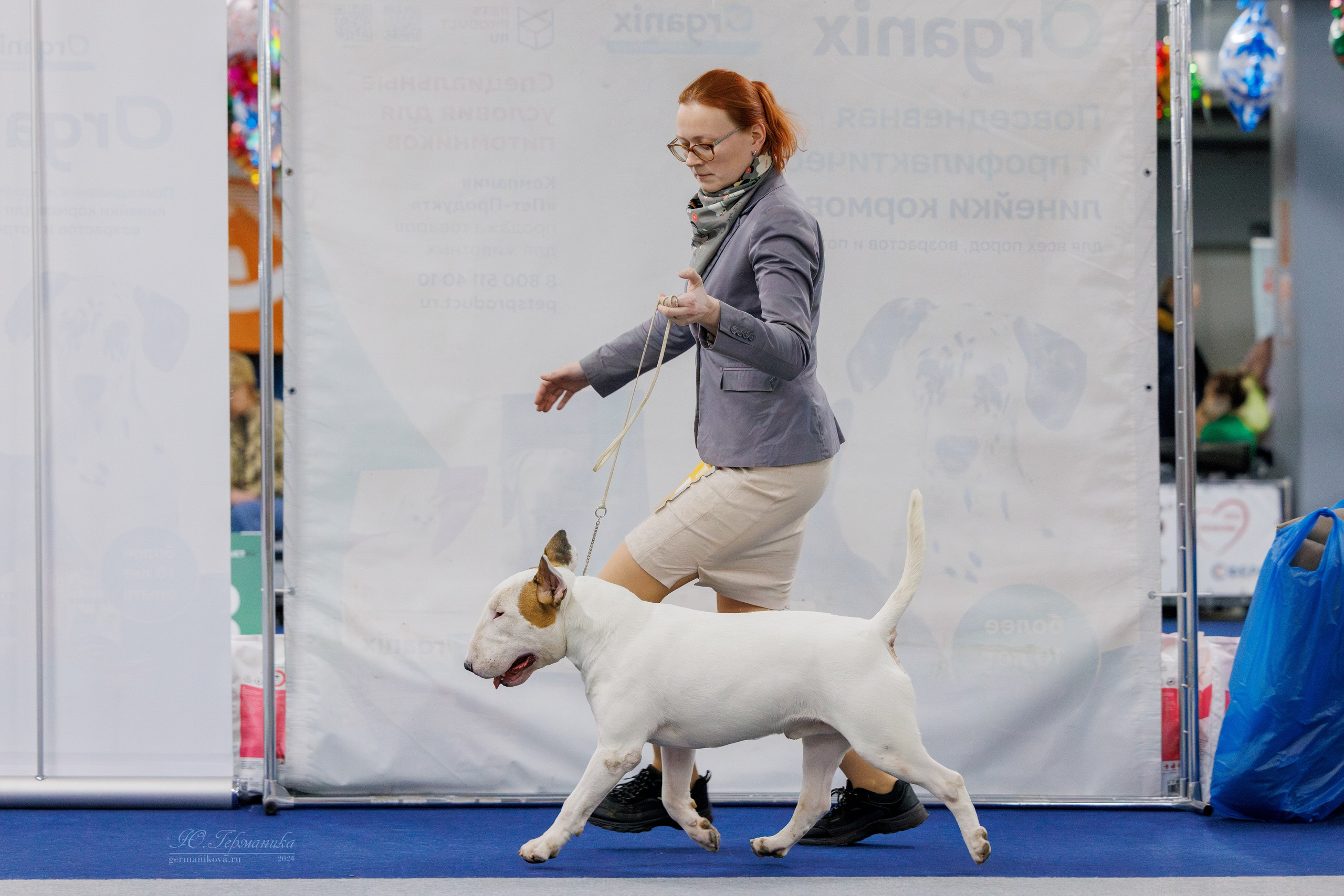 Крокус 21.12.2024,Сфера 29.12.2024. Фотограф-анималист Юлия Германика