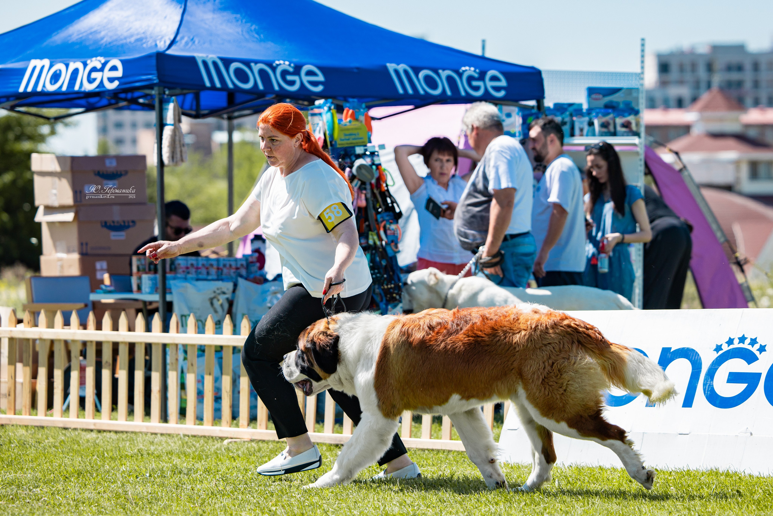 Ереван 3-5.06.2024. Фотограф-анималист Юлия Германика