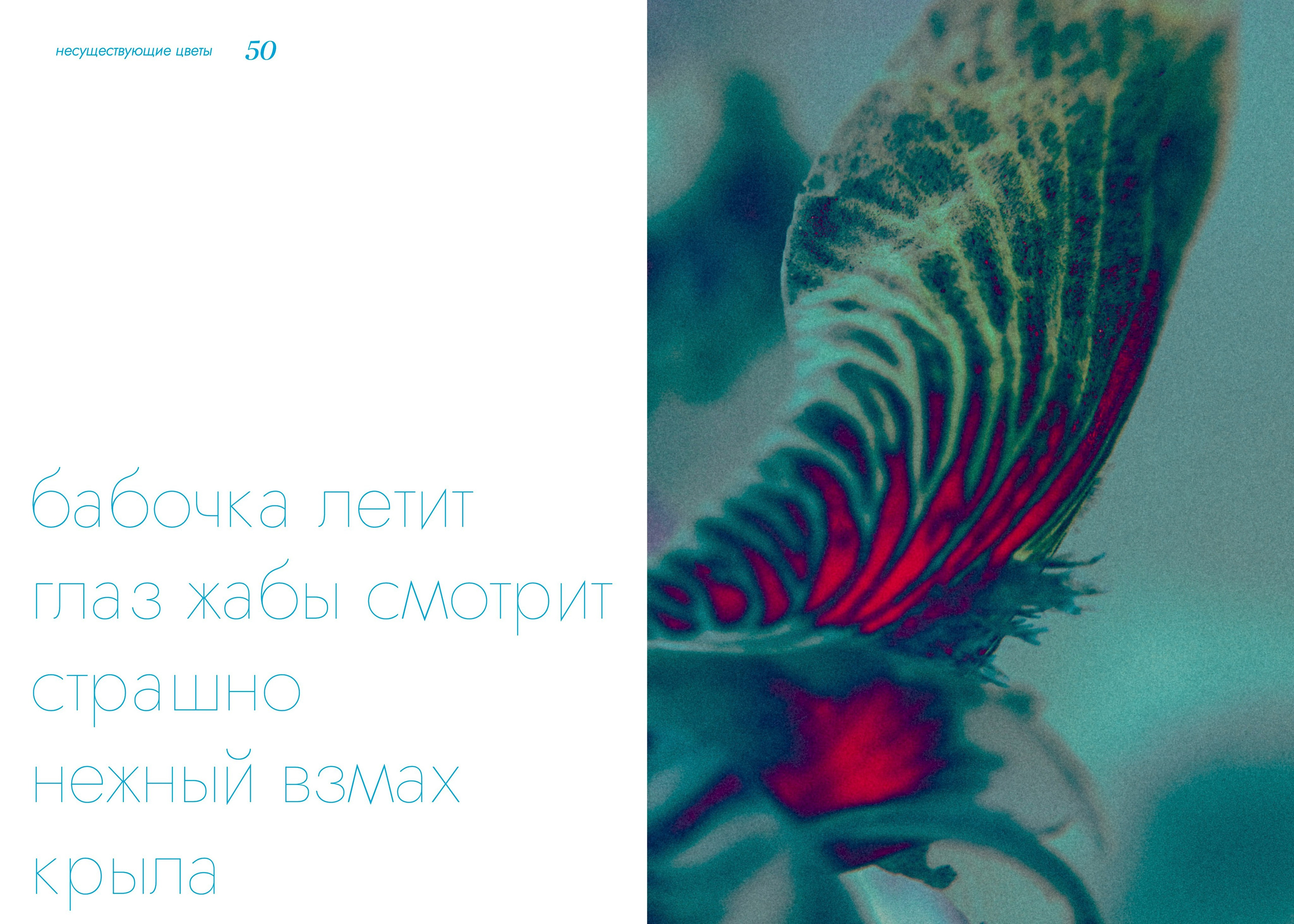 BOOK ART. Фотограф Евгений Чащихин RGB АРХИТЕКТОР в Перми