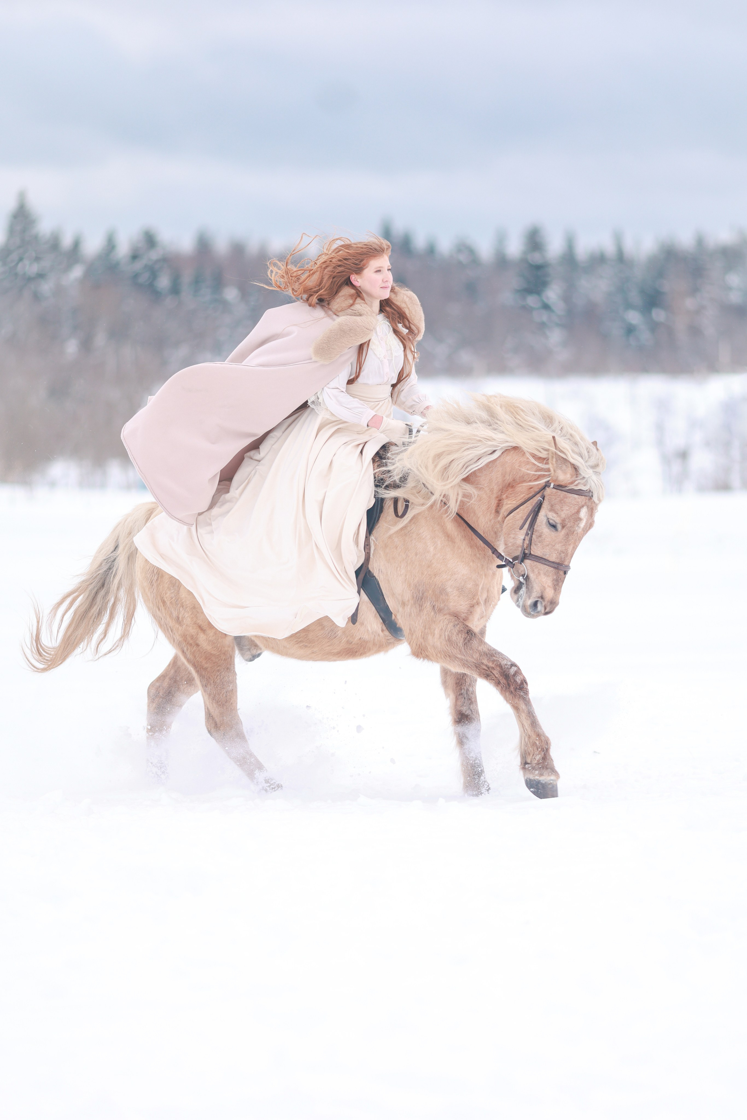 Фотосессии с лошадьми