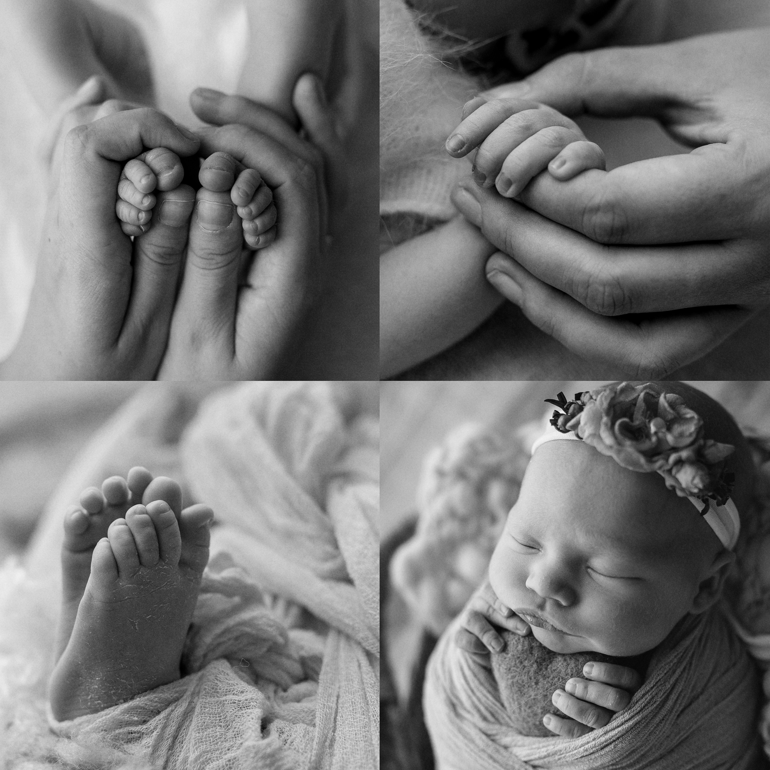 Новорожденные. Фотограф Шарыпово