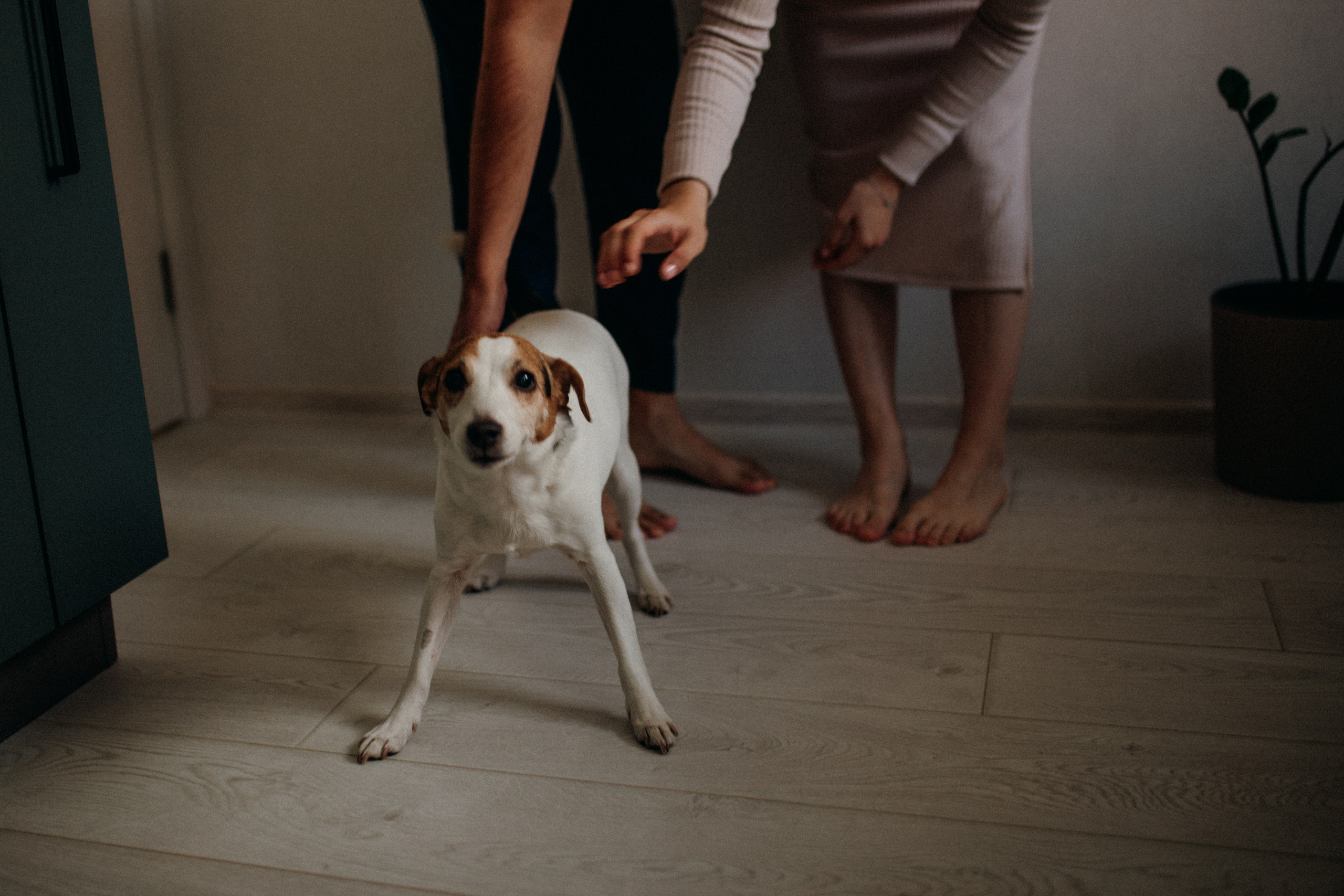 Семейный фотограф Белгородфотограф на свадьбу Белгородфотограф на крестины Белгородсемейная фотосессия Белгородфотосессия для беременных. Фотограф Анастасия Евсеева |Белгород