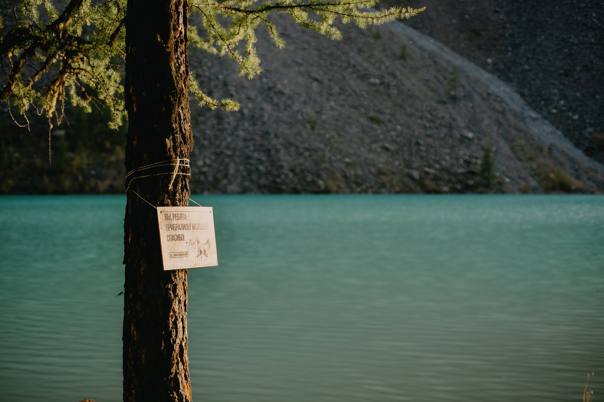 Шавлинские. Главная