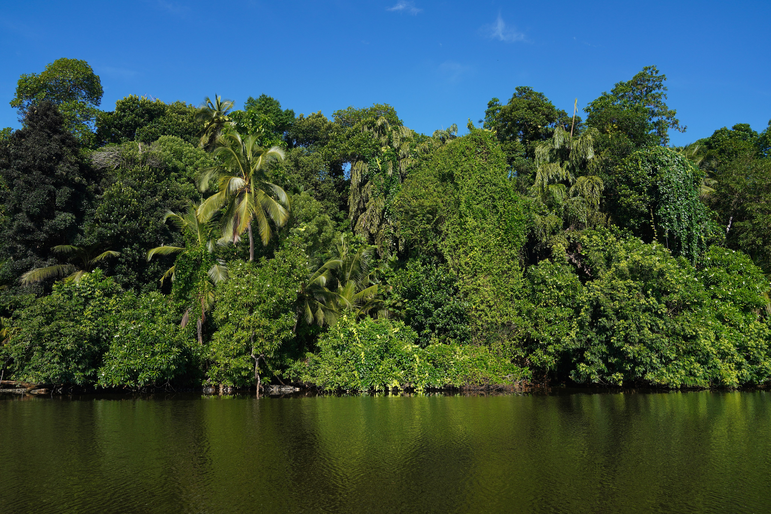 Остров Шри-Ланка. Фотограф Сергей Кишкель Дананг Нячанг Фукуок