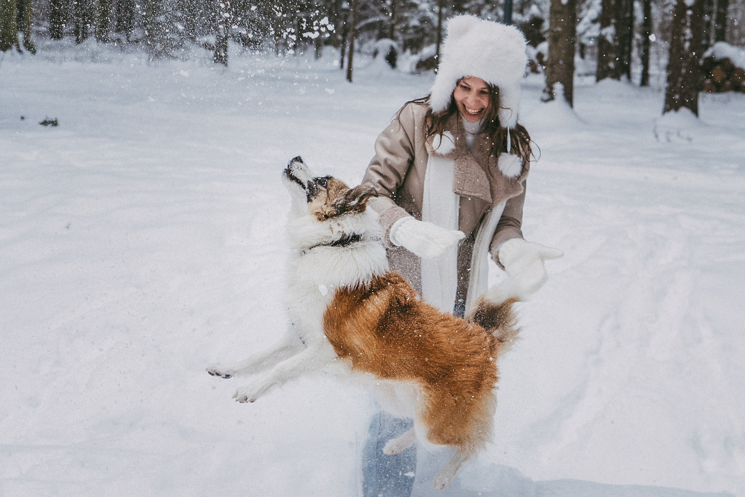 Катя, Анатолий и Елай. Фотограф анималист в Москве и Санкт-Петербурге Свиридова Анна