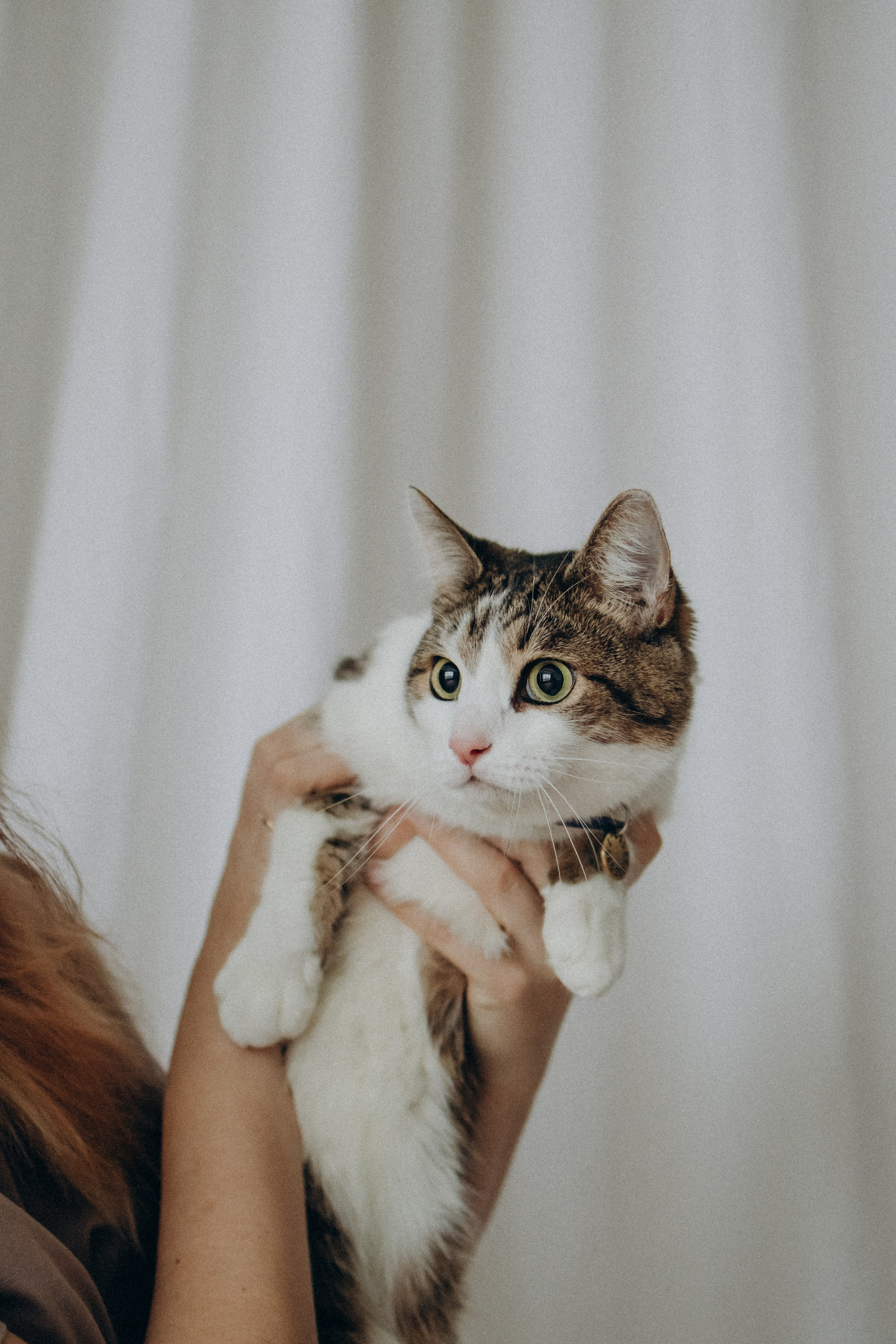 Ксюша и Яша. Фотораф — анималист Мария Шистка