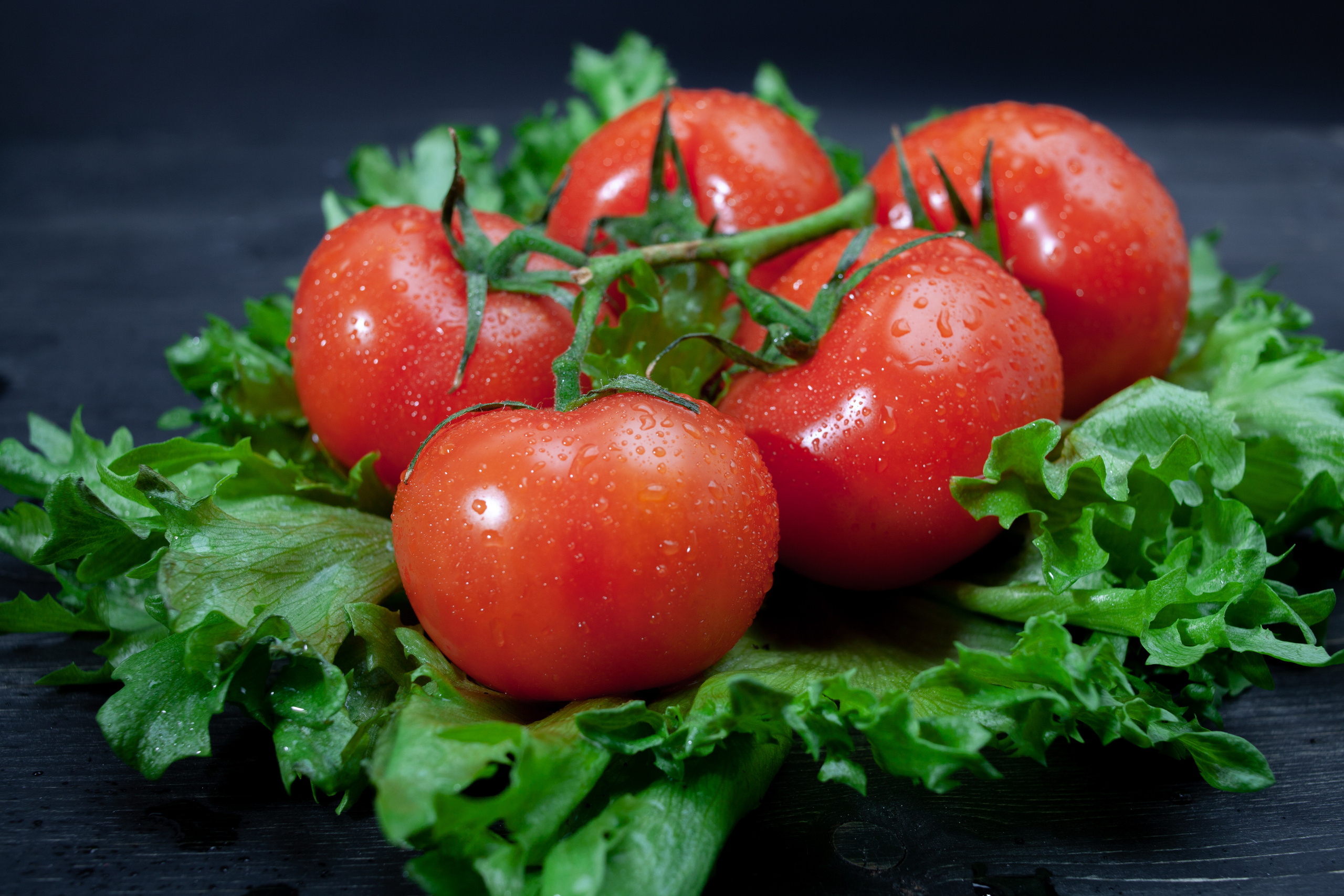 Предметная съёмка. Sandra Marselly | Абстрактная Макро-Фотография