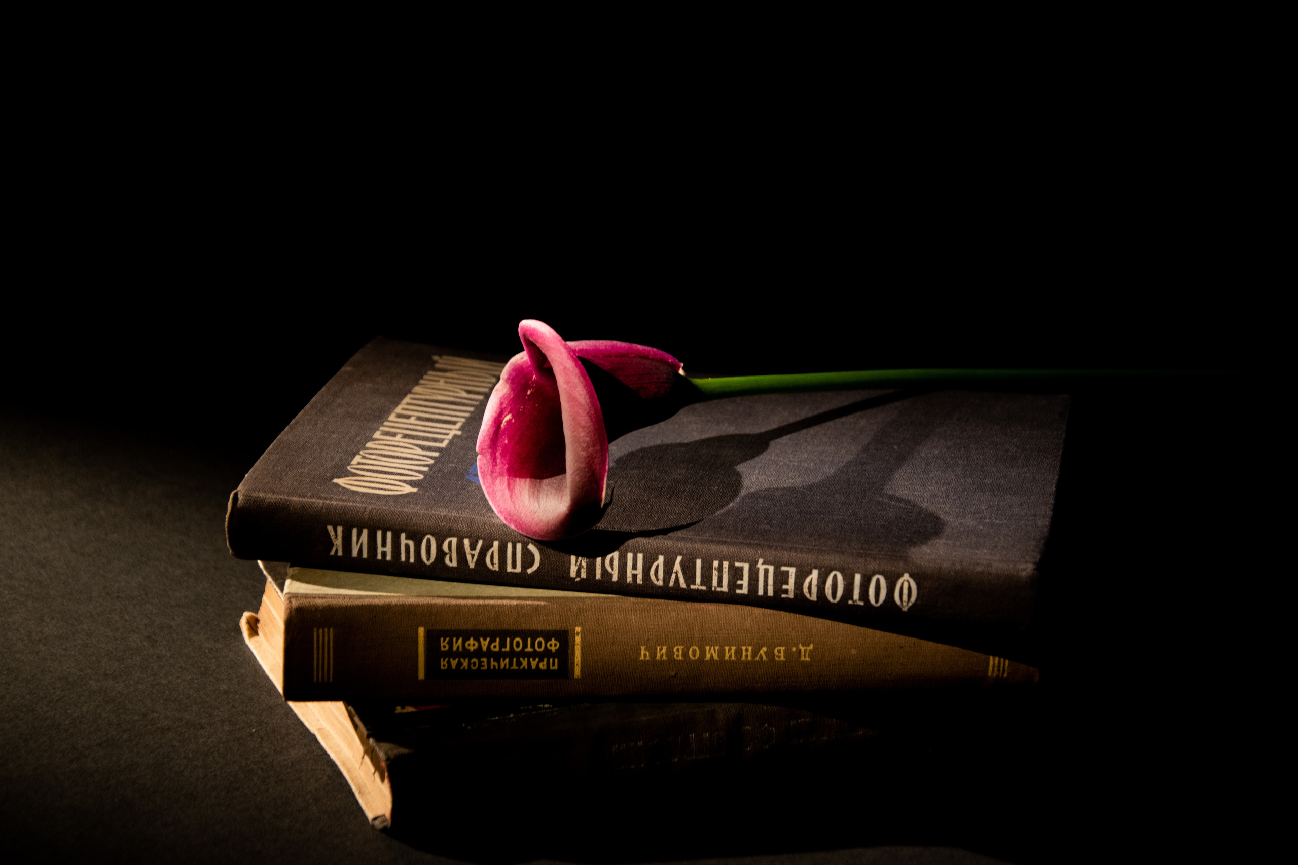 Предметная съёмка. Sandra Marselly | Абстрактная Макро-Фотография