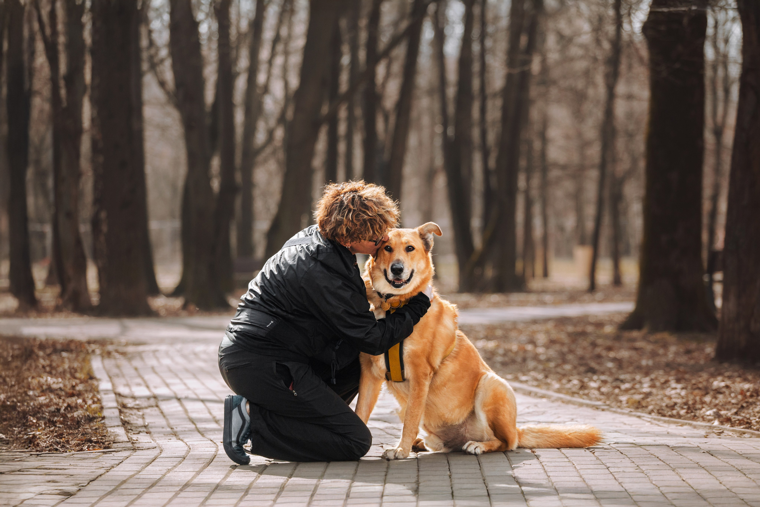 Собаки из приюта Дубовая роща весна 2025. Фотограф-анималист Татьяна Степанова