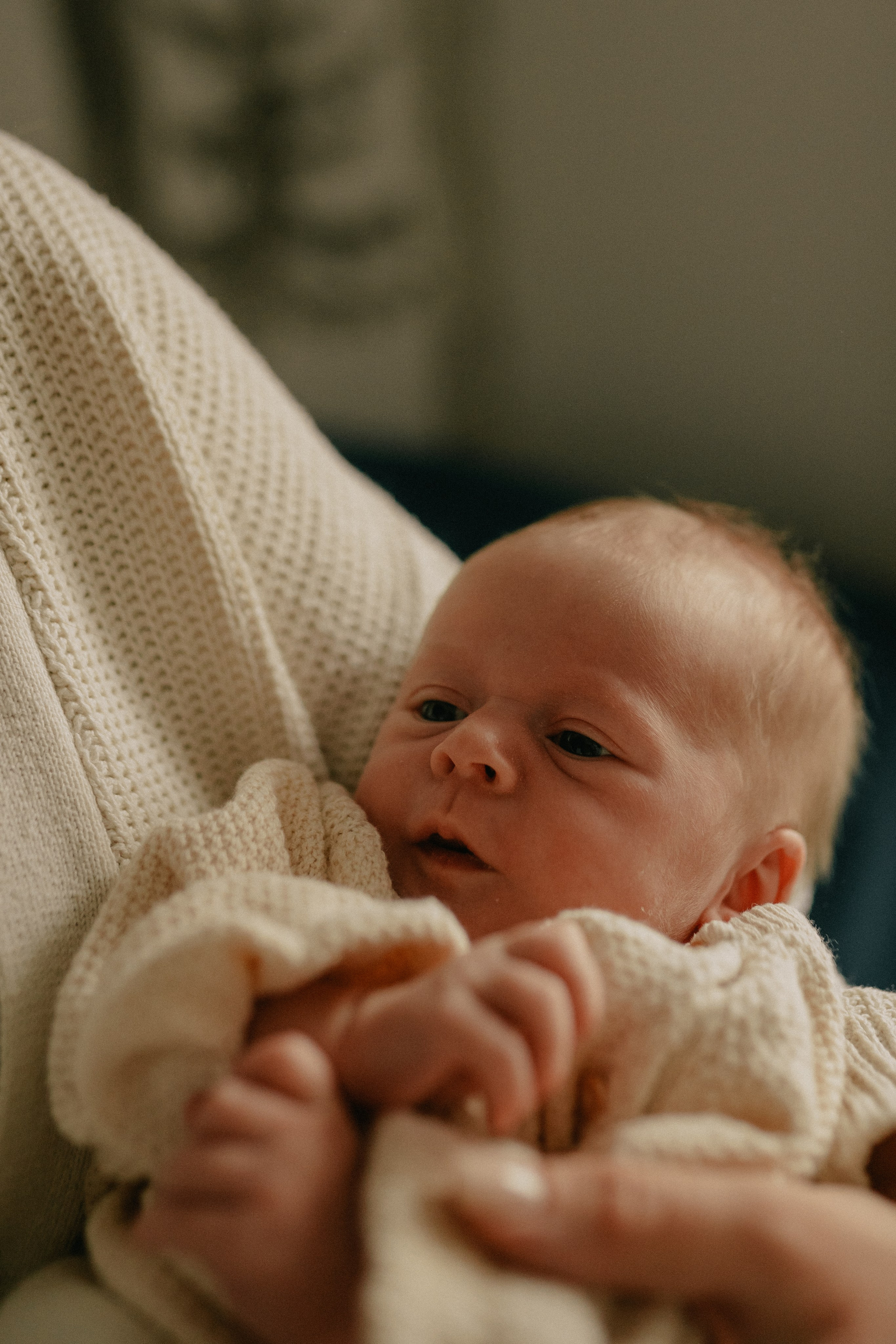 Лена, Игорь, Арина, Агата. Семейный фотограф Москва