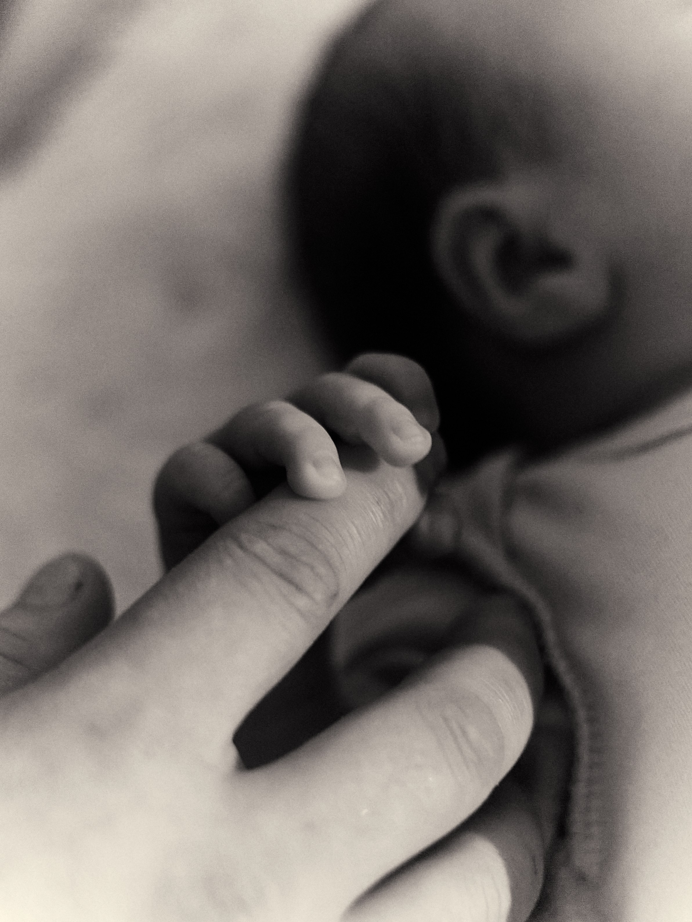 Кристина, Деним и малыш Леон. Фотограф и видеограф в Бугульме Аня Трутнева