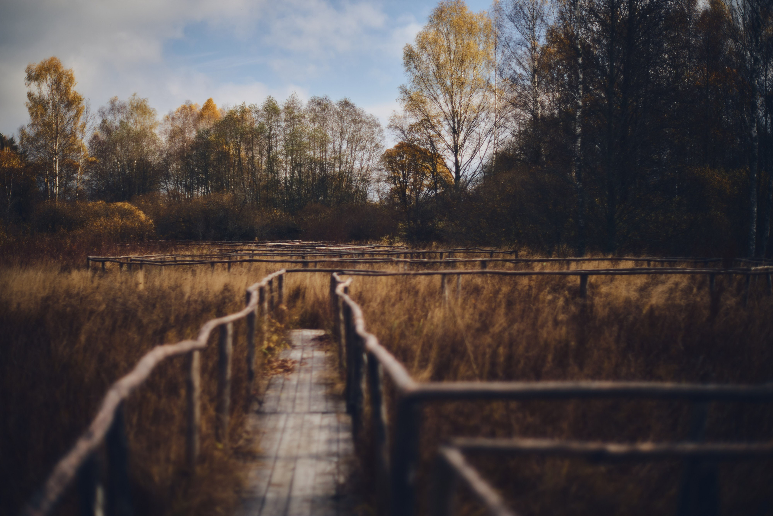 Осенние пейзажи Никола-Ленивца