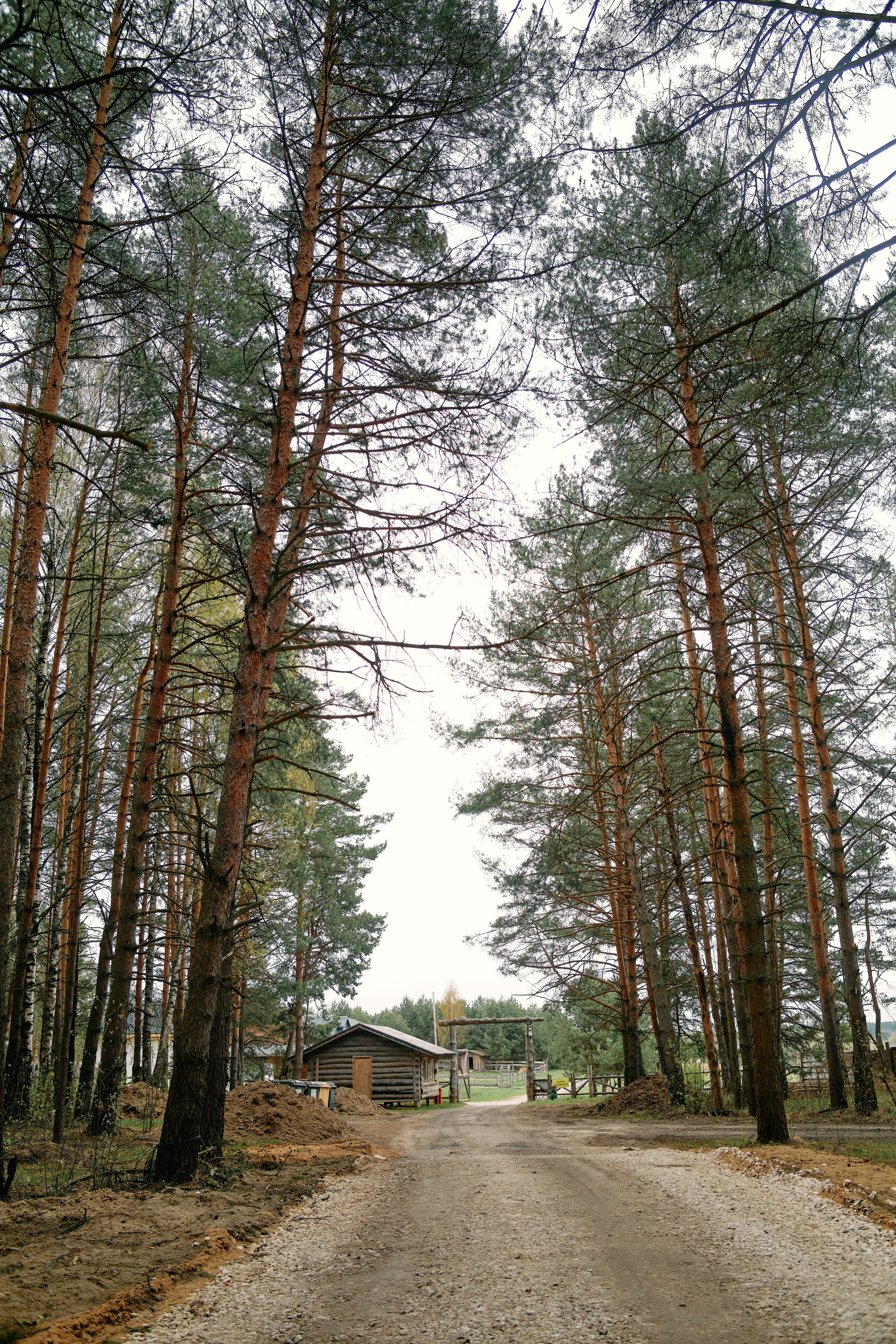 Бутик-отель Поле летом. Профессиональный Фотограф во Владимире, в Москве и в Суздале — Полина Романычева