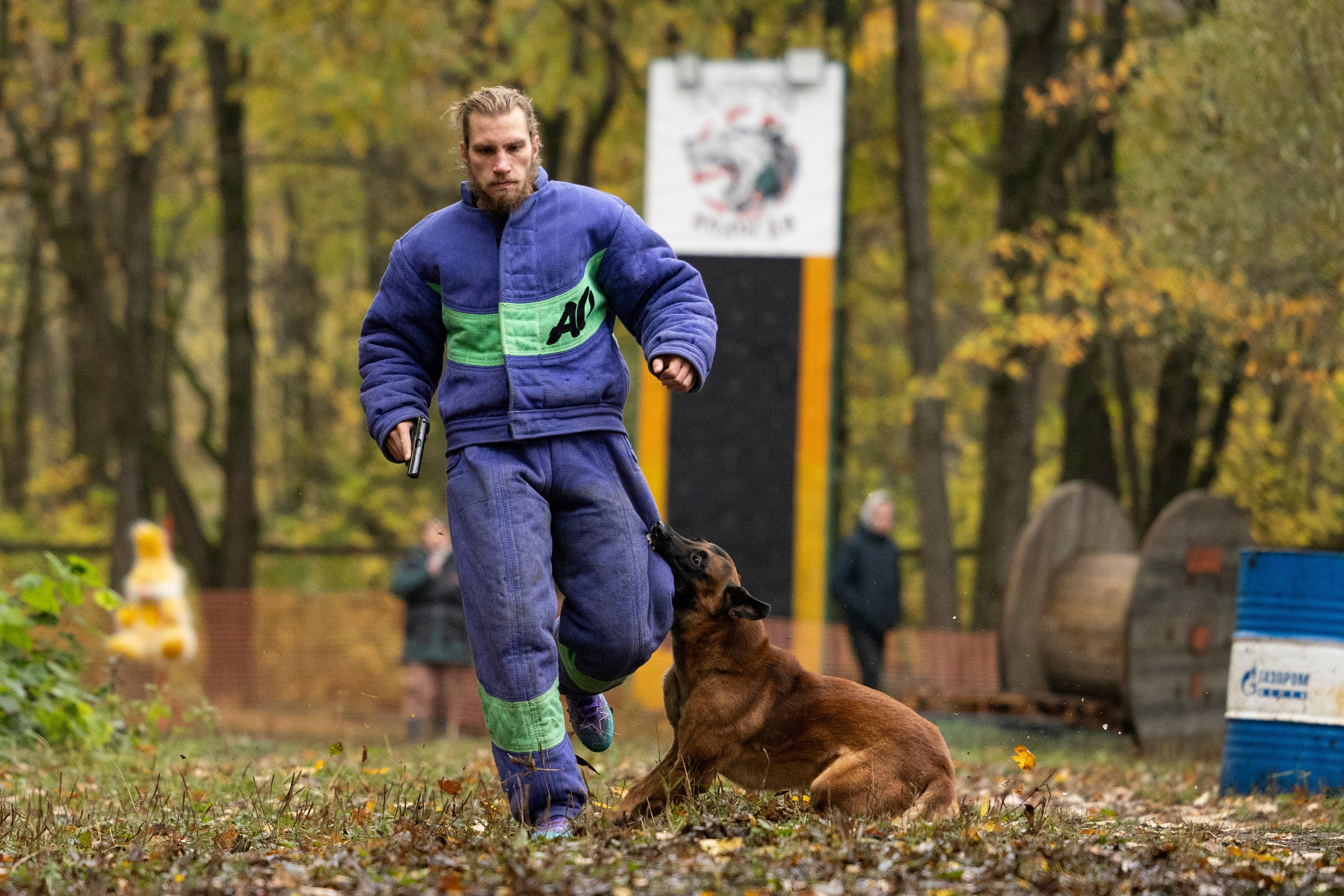 Соревнования по Мондьорингу г. Вологда. Фотограф-анималист Анна Маринич