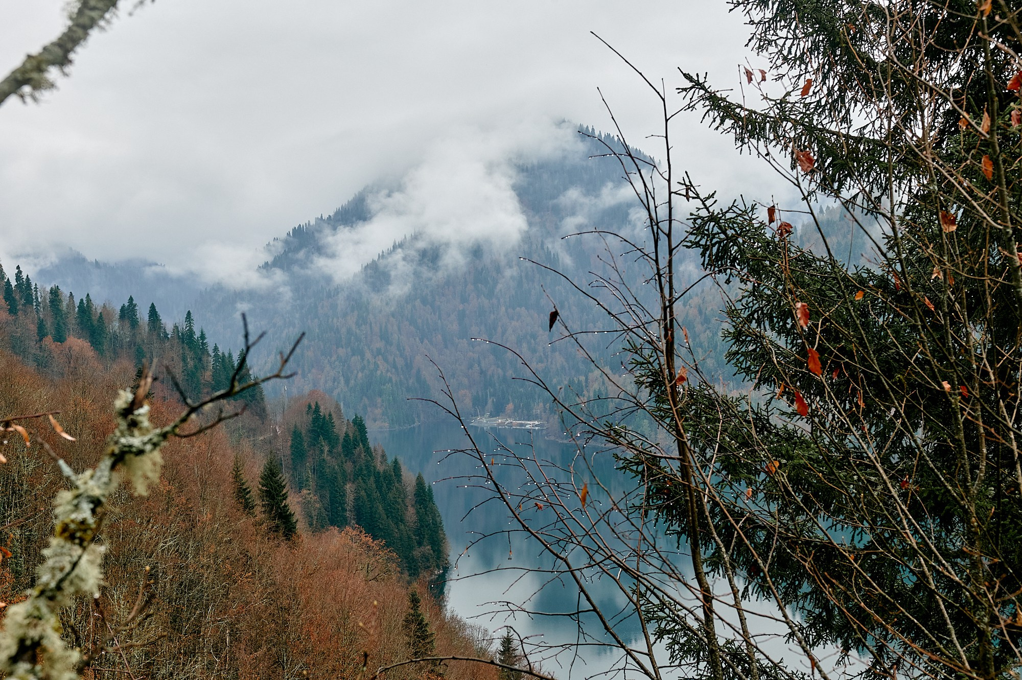 Озеро Рица, Абхазия. Декабрь 2024. Фотографии отовсюду и обо всем