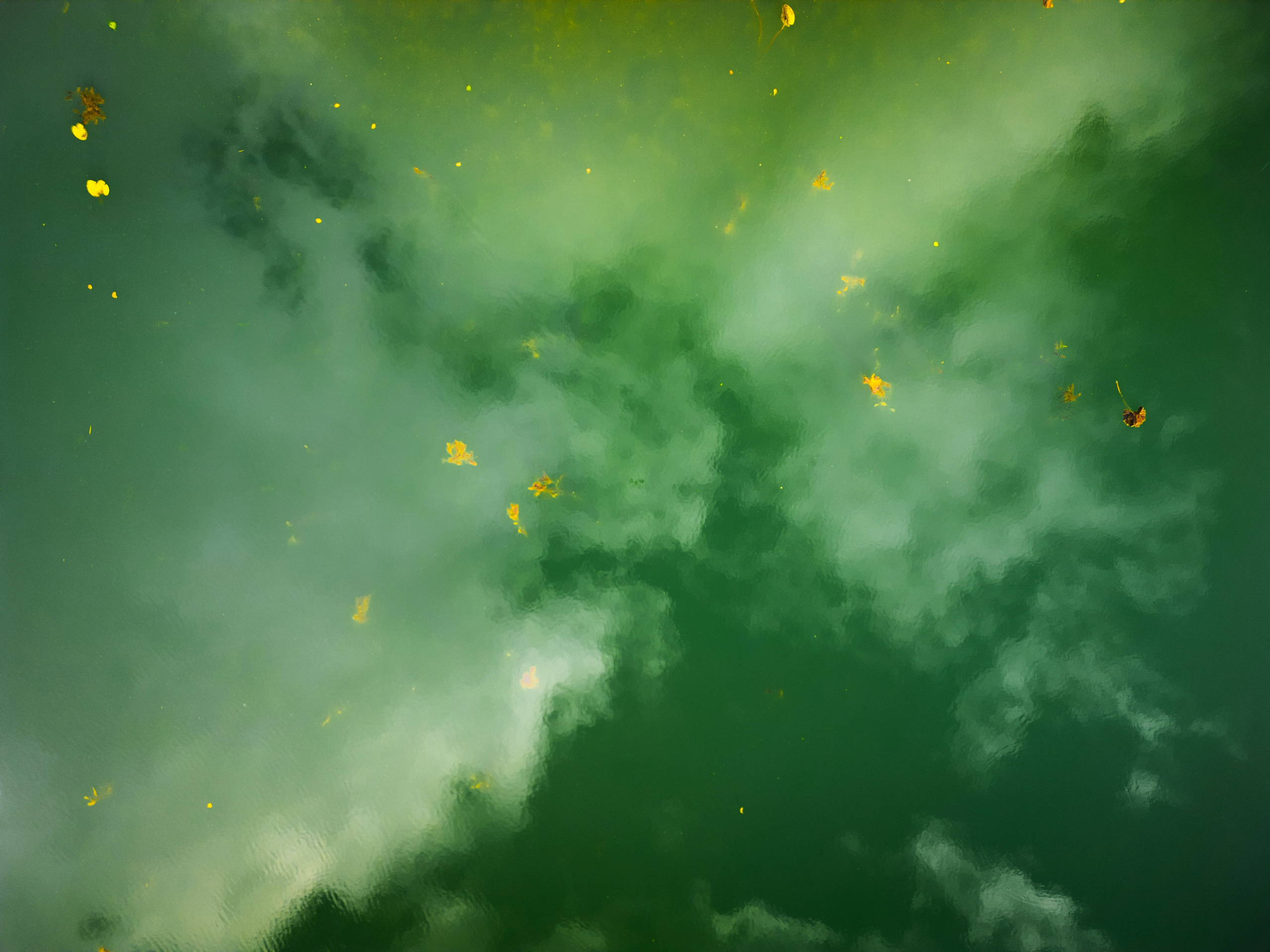 Дом на продажу № 1. DRONBERRY — Аэросъемка Ярославль